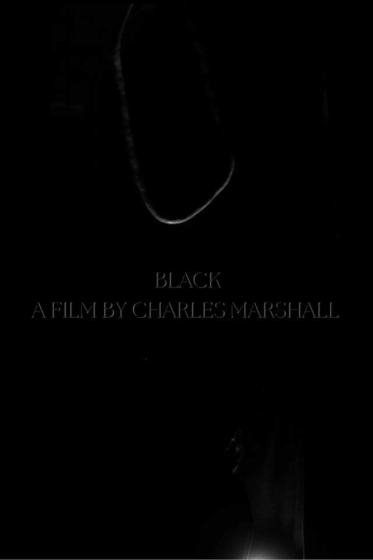 Постер к фильму "Black"