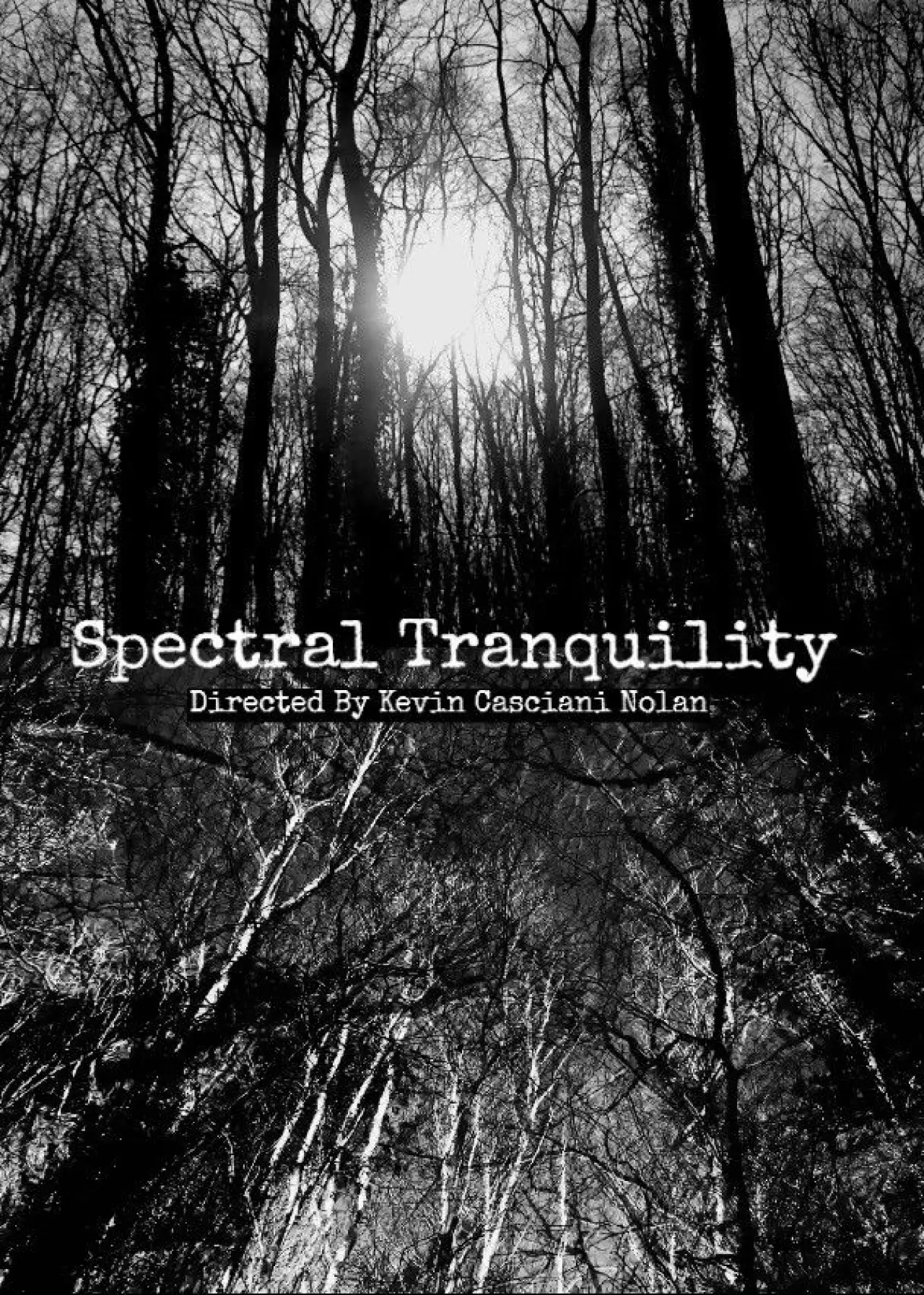 Постер к фильму "Spectral Tranquility"