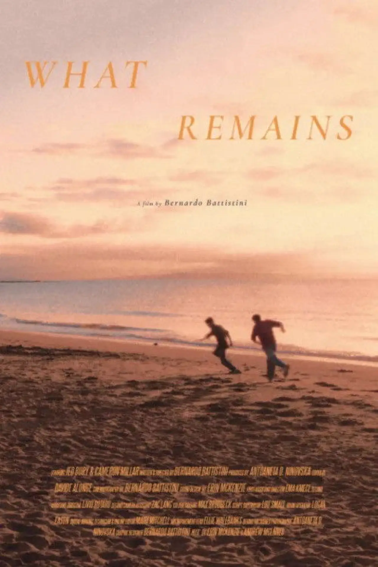 Постер к фильму "What Remains"