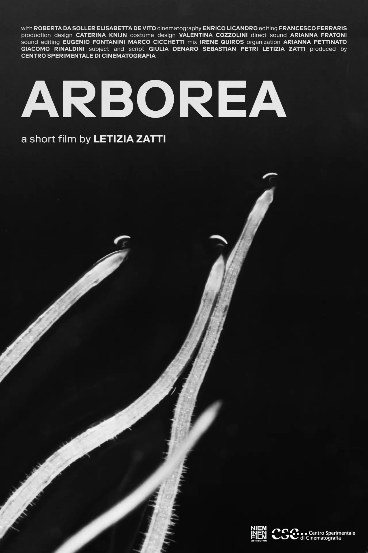 Постер к фильму "Arborea"