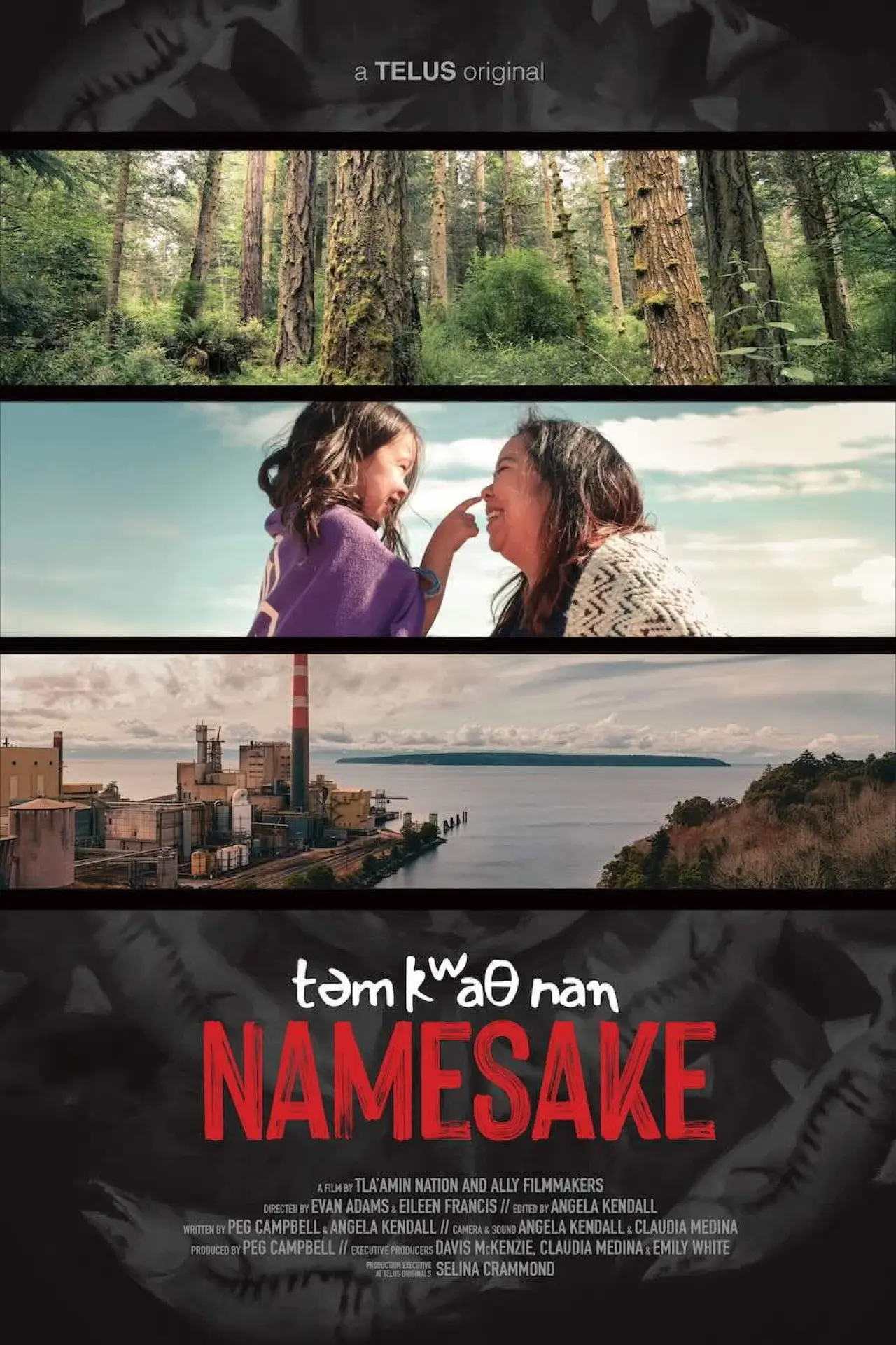 Постер к фильму "təm kʷaθ nan Namesake"