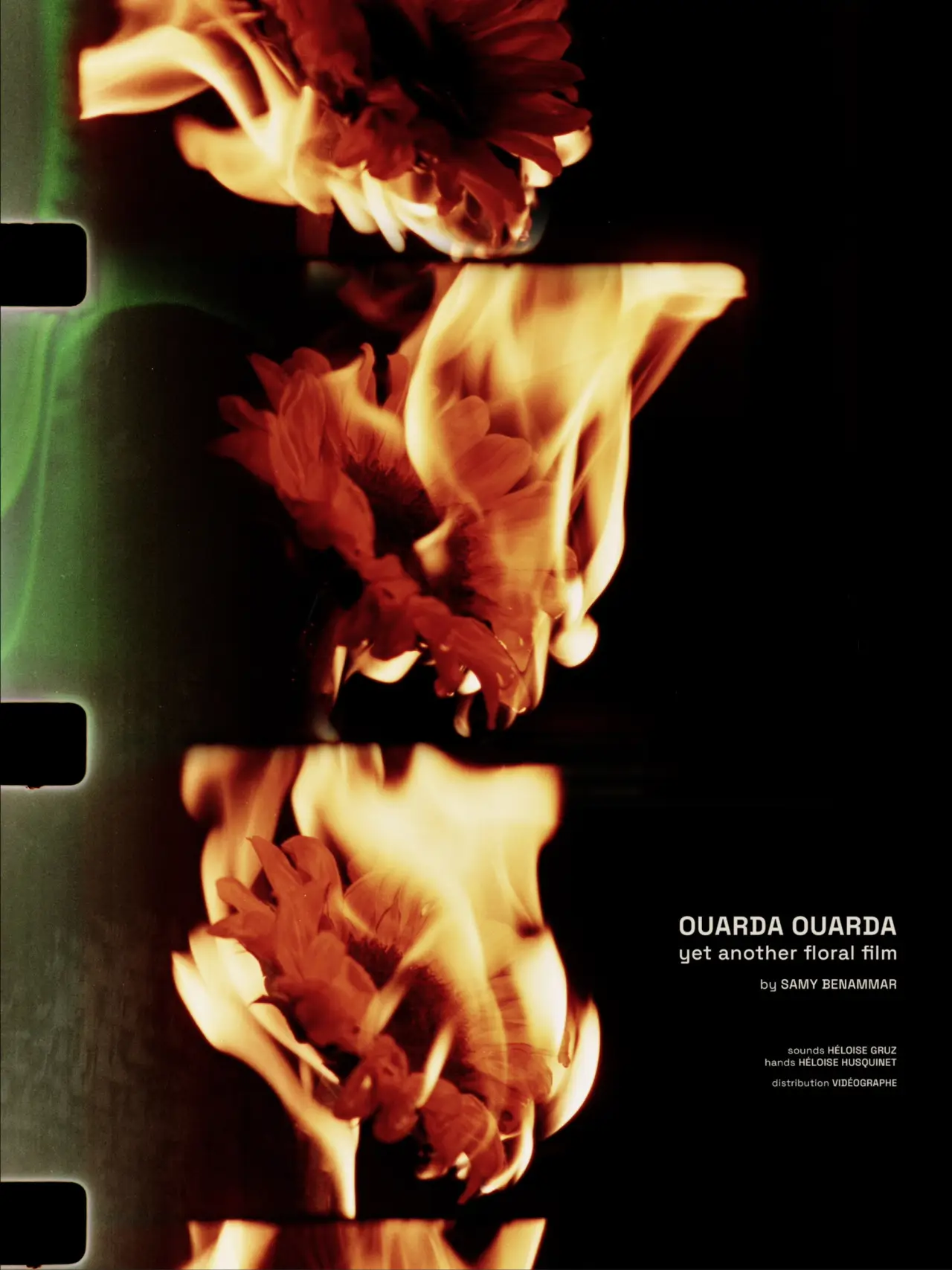 Постер к фильму "Ouarda Ouarda: yet another floral film"