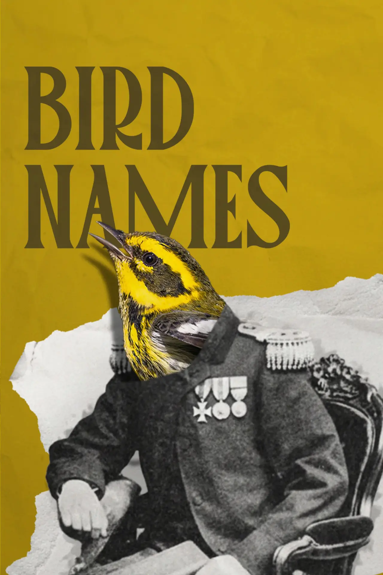 Постер к фильму "Bird Names"