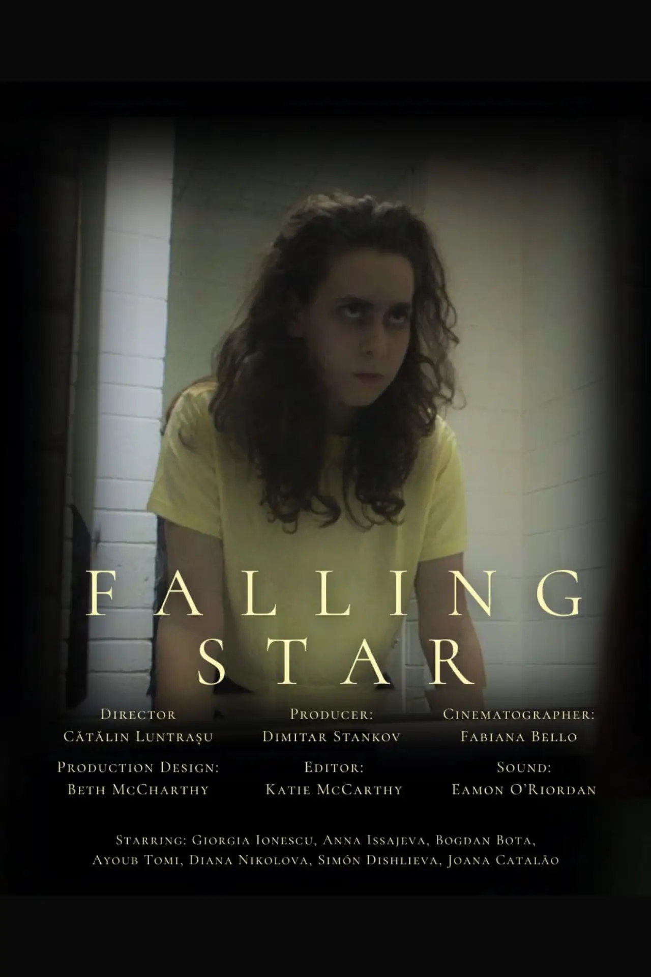 Постер к фильму "Falling Star"