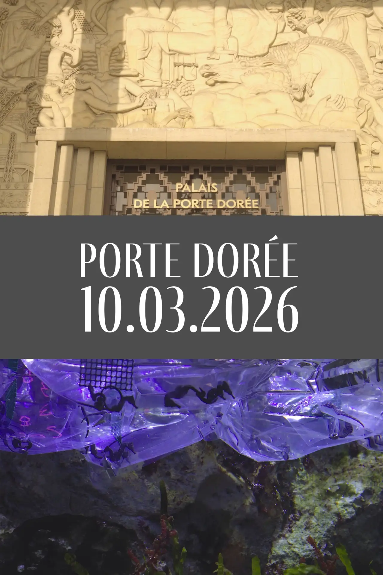 Постер к фильму "Porte Dorée 10.03.2026"