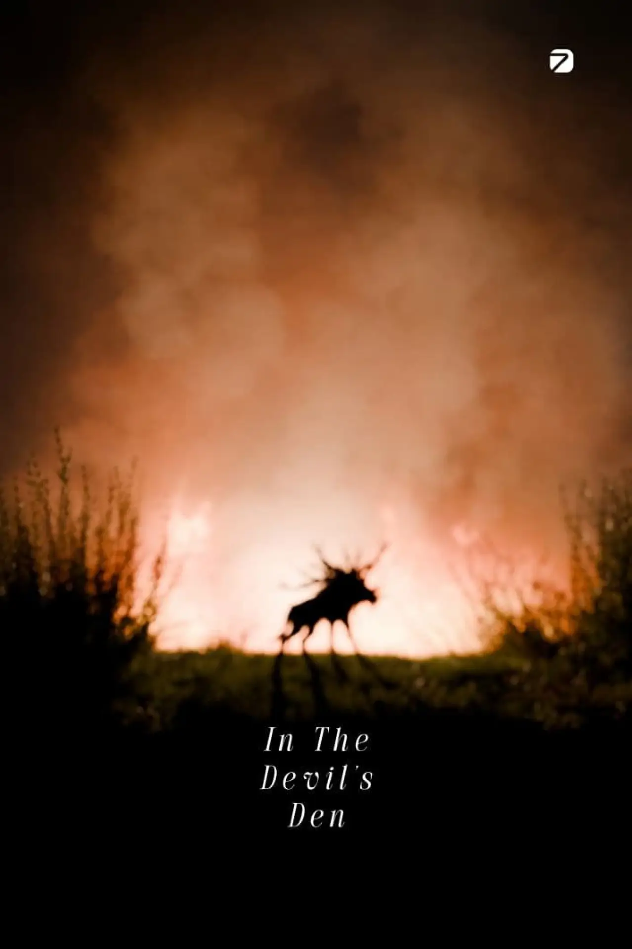 Постер к фильму "In The Devil