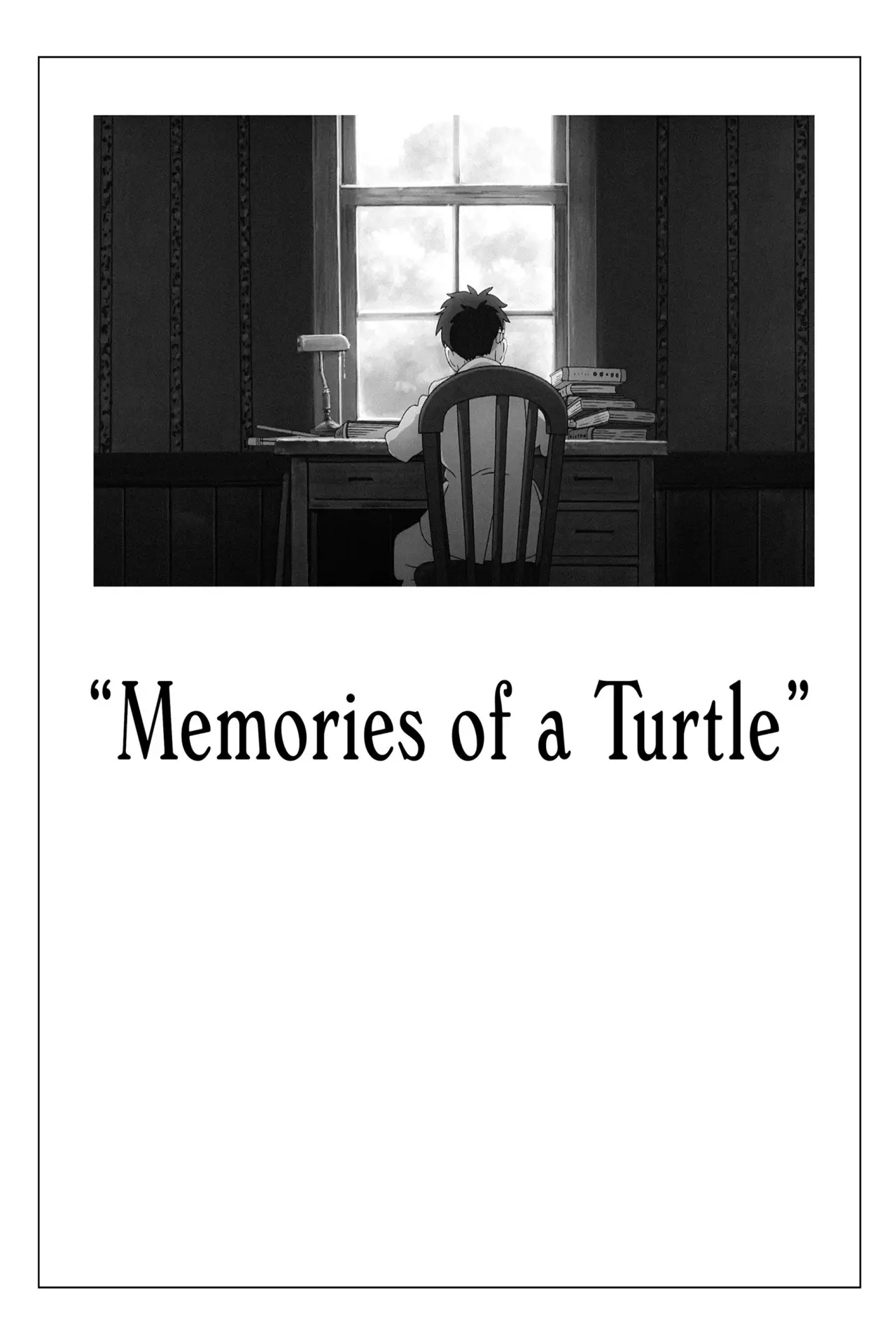 Постер к фильму "Memories of a Turtle"