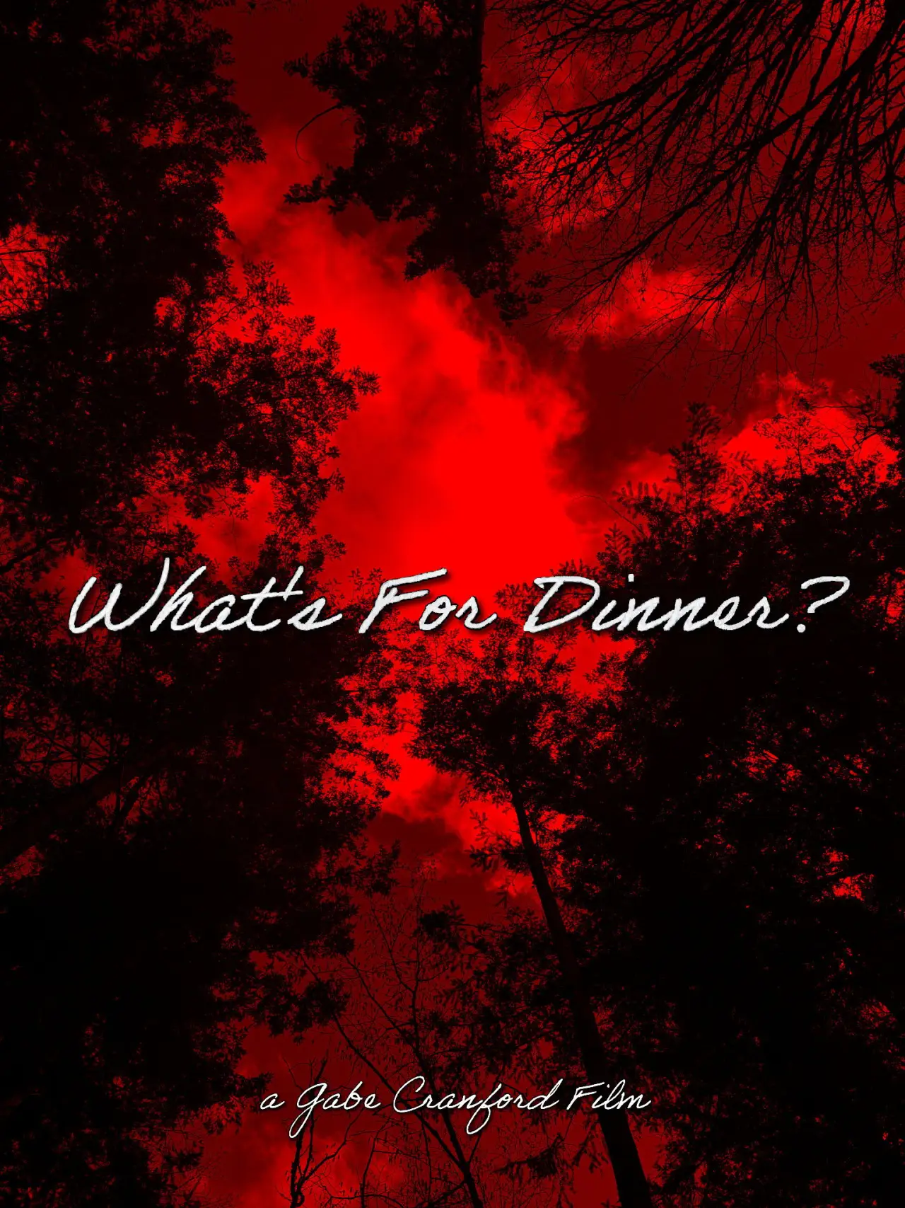 Постер к фильму "What
