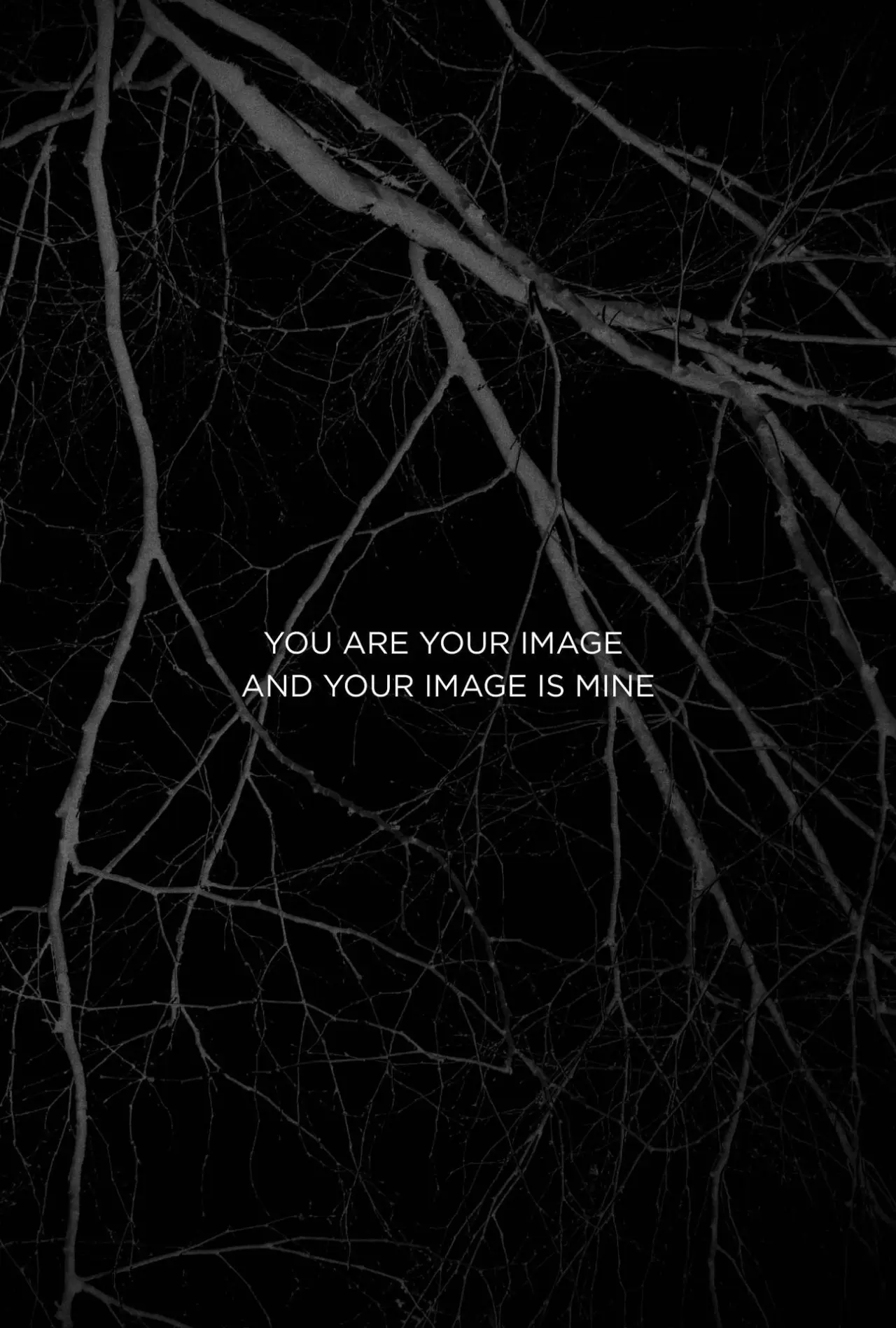 Постер к фильму "You Are Your Image And Your Image Is Mine"