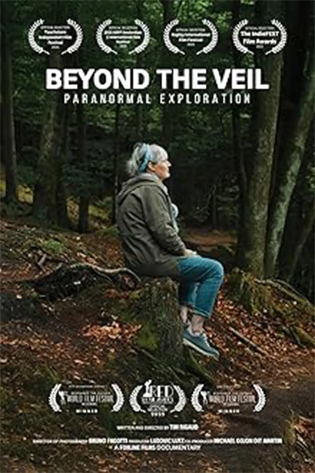 Постер к фильму "Au-Delà du Voile - Exploration du Paranormal"