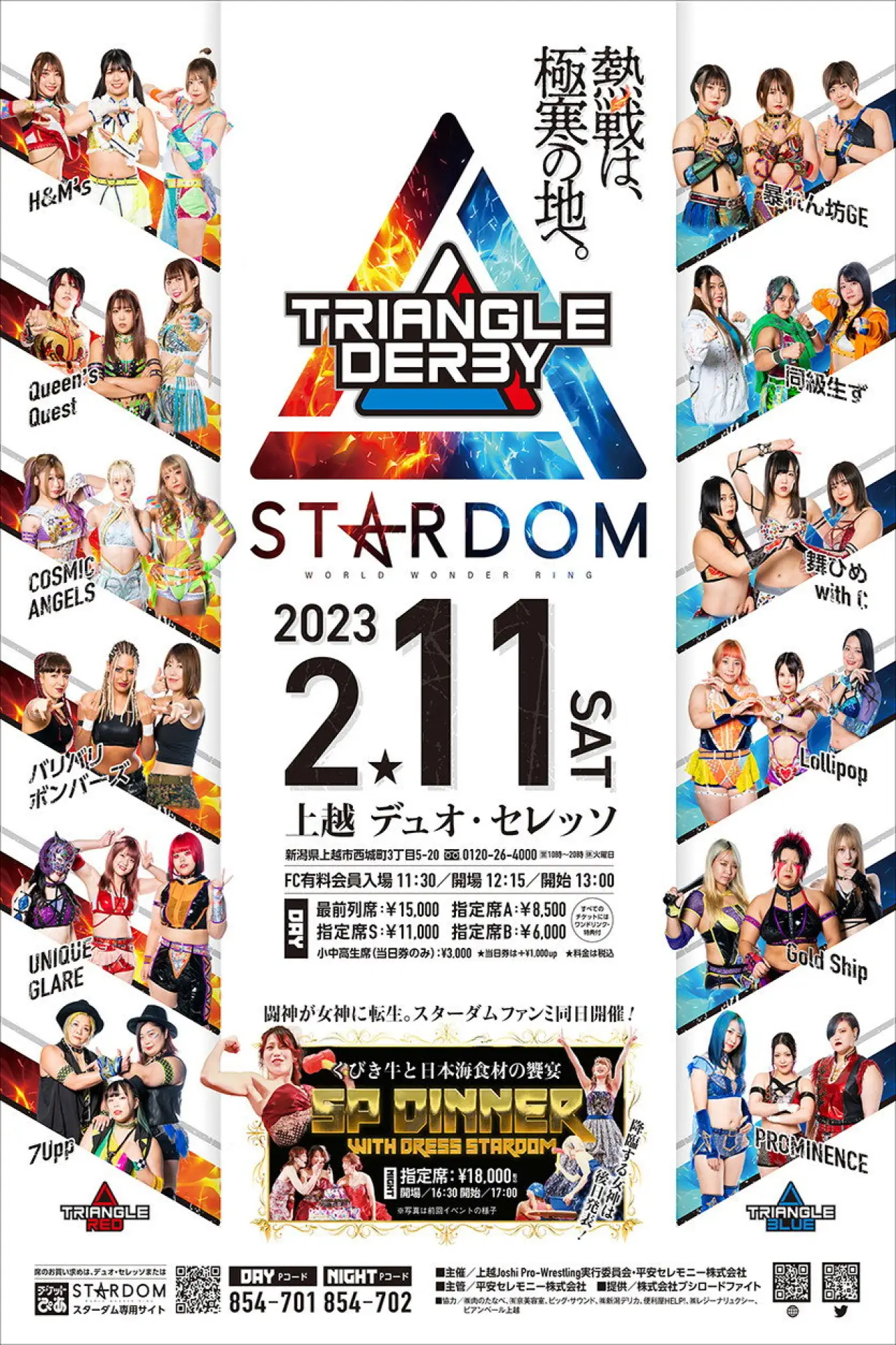 Постер к фильму "TRIANGLE DERBYⅠ上越大会』"