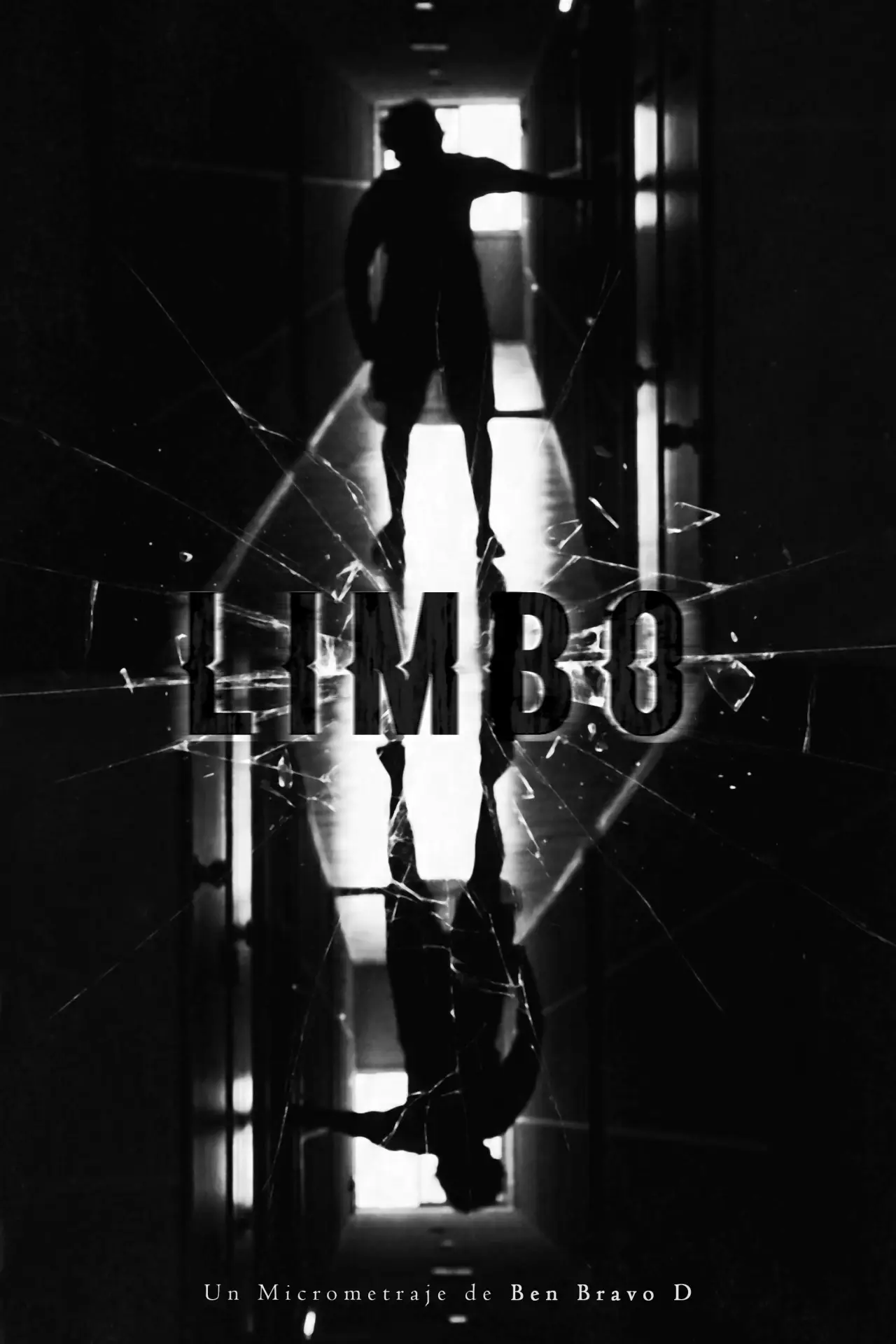 Постер к фильму "Limbo"