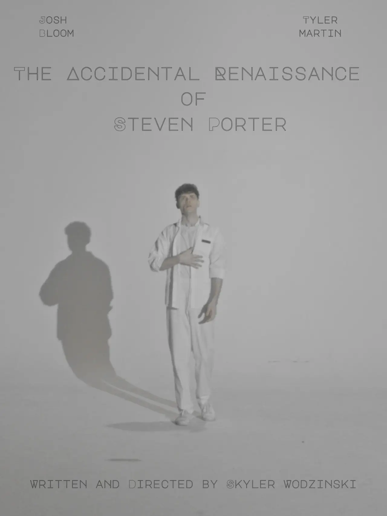 Постер к фильму "The Accidental Renaissance of Steven Porter"