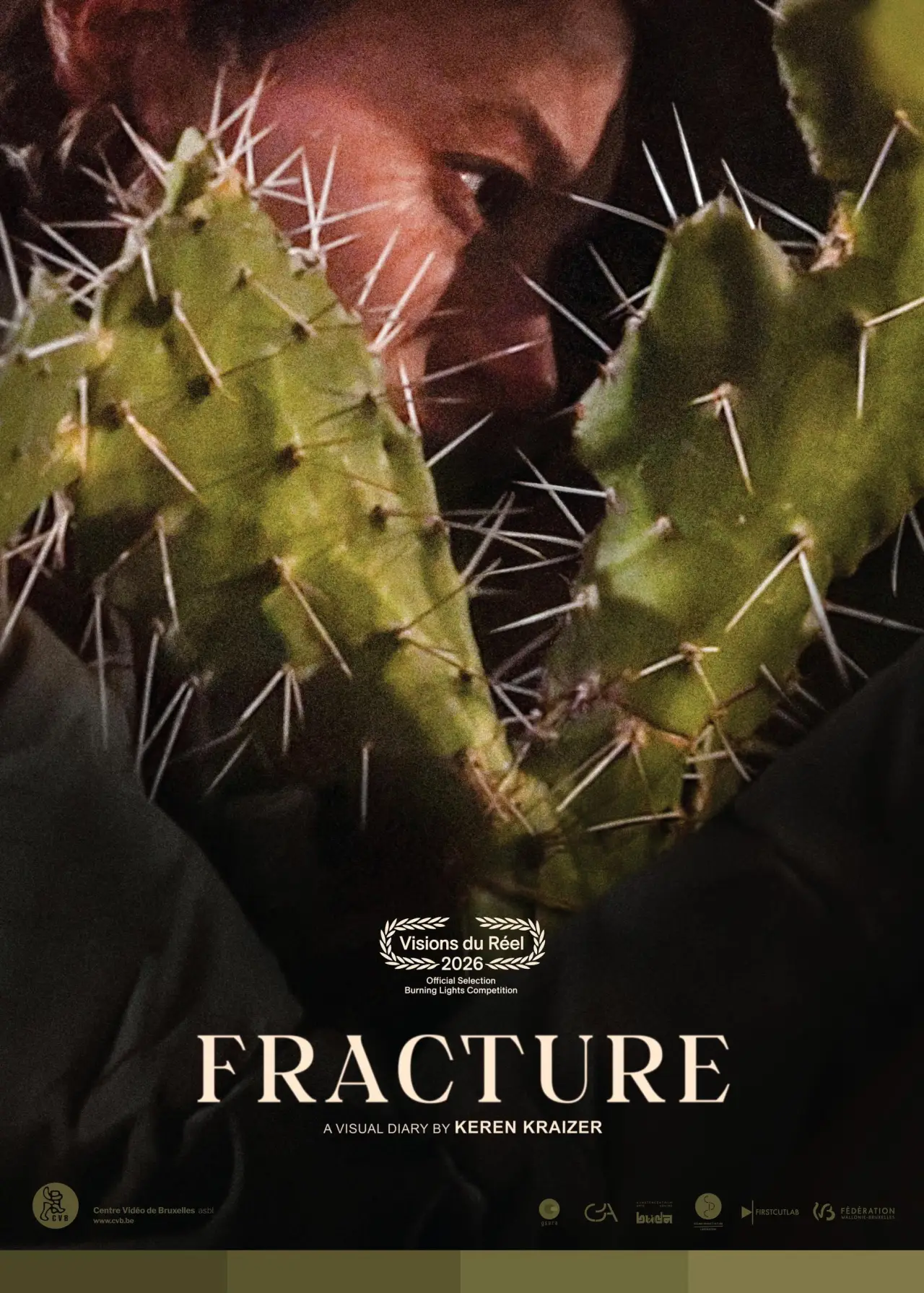 Постер к фильму "Fracture"