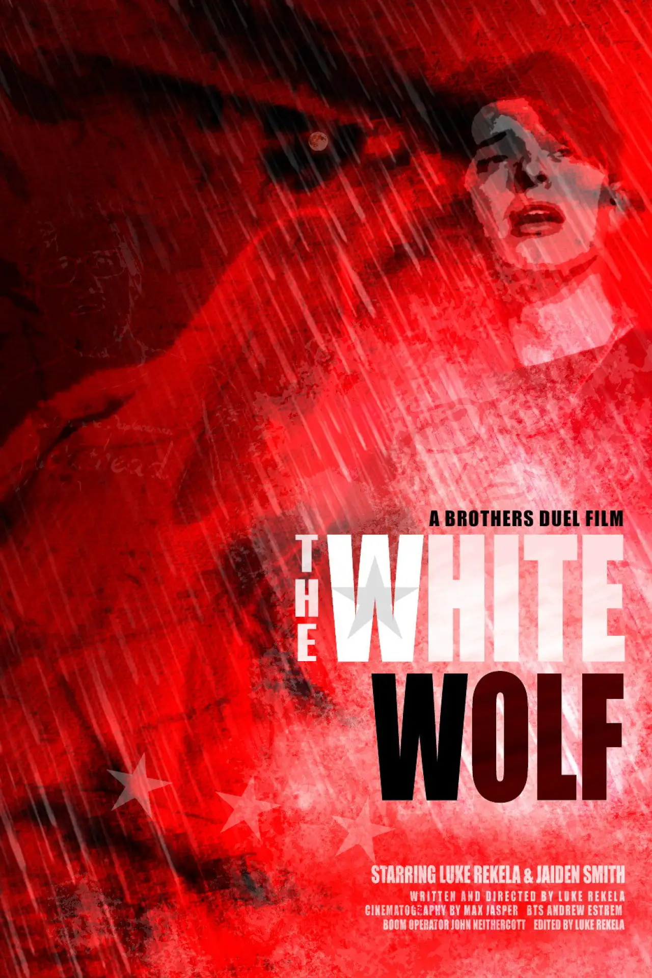 Постер к фильму "The White Wolf"