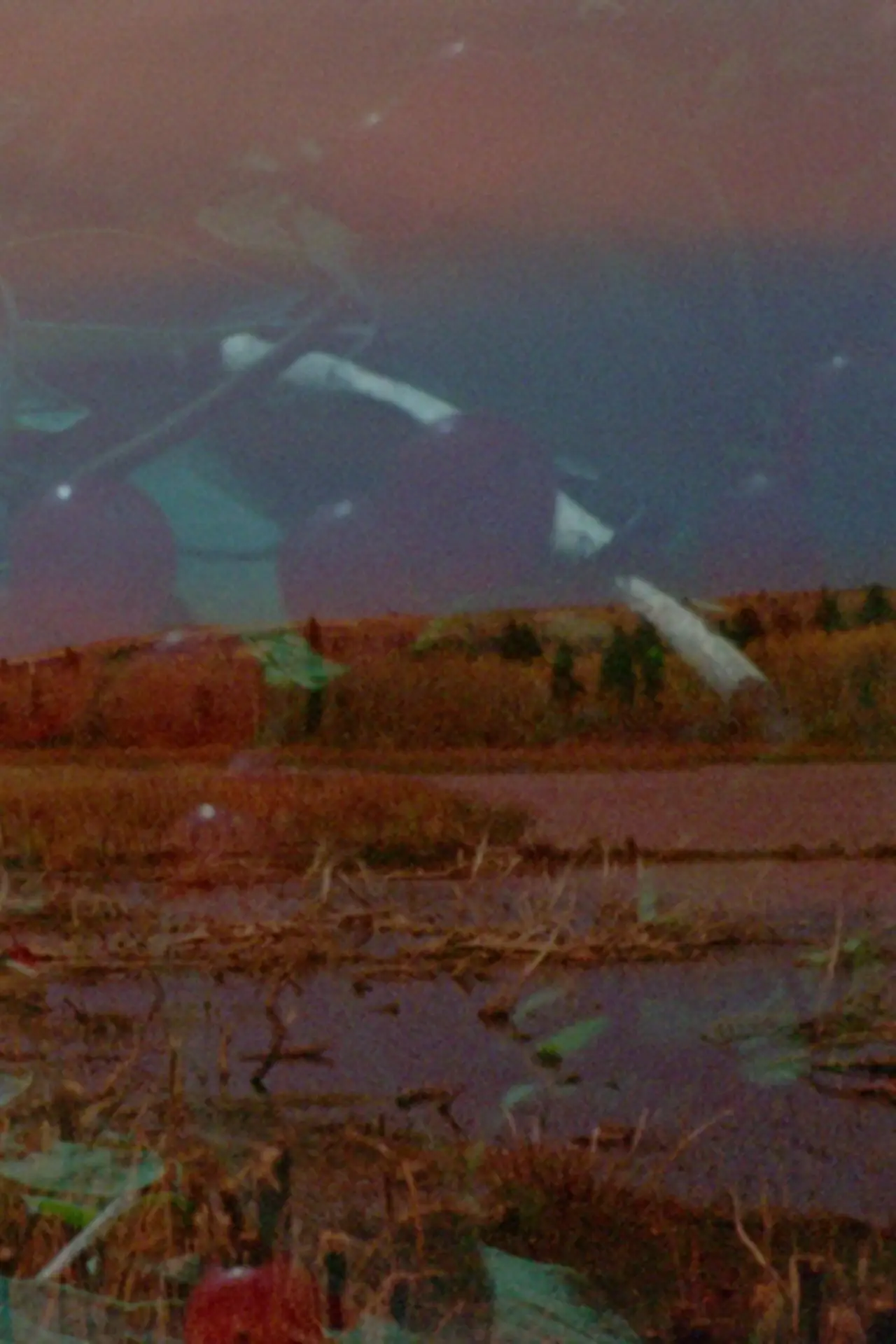 Постер к фильму "Mounds Above the Earth"