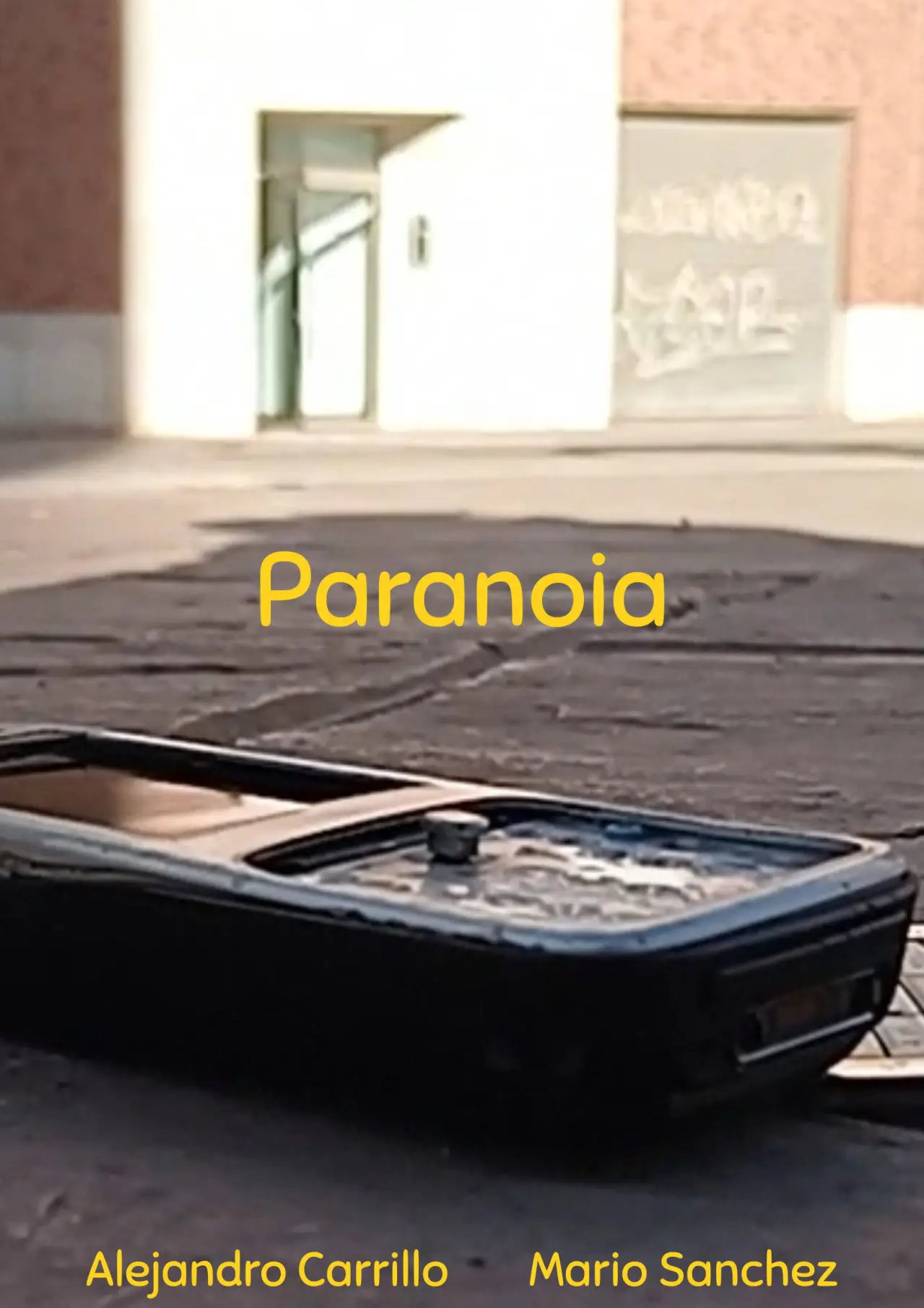 Постер к фильму "Paranoia"