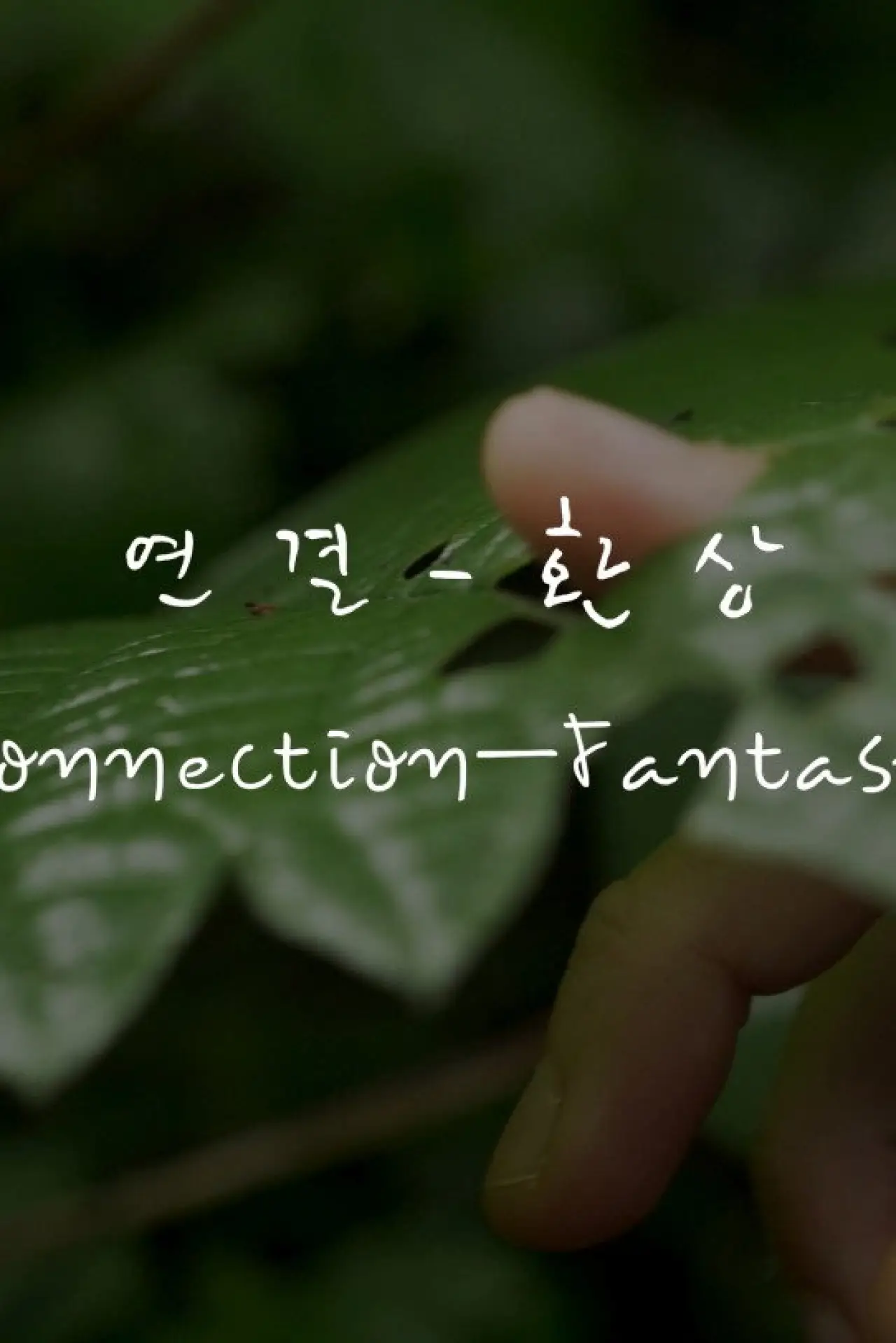 Постер к фильму "연결-환상"