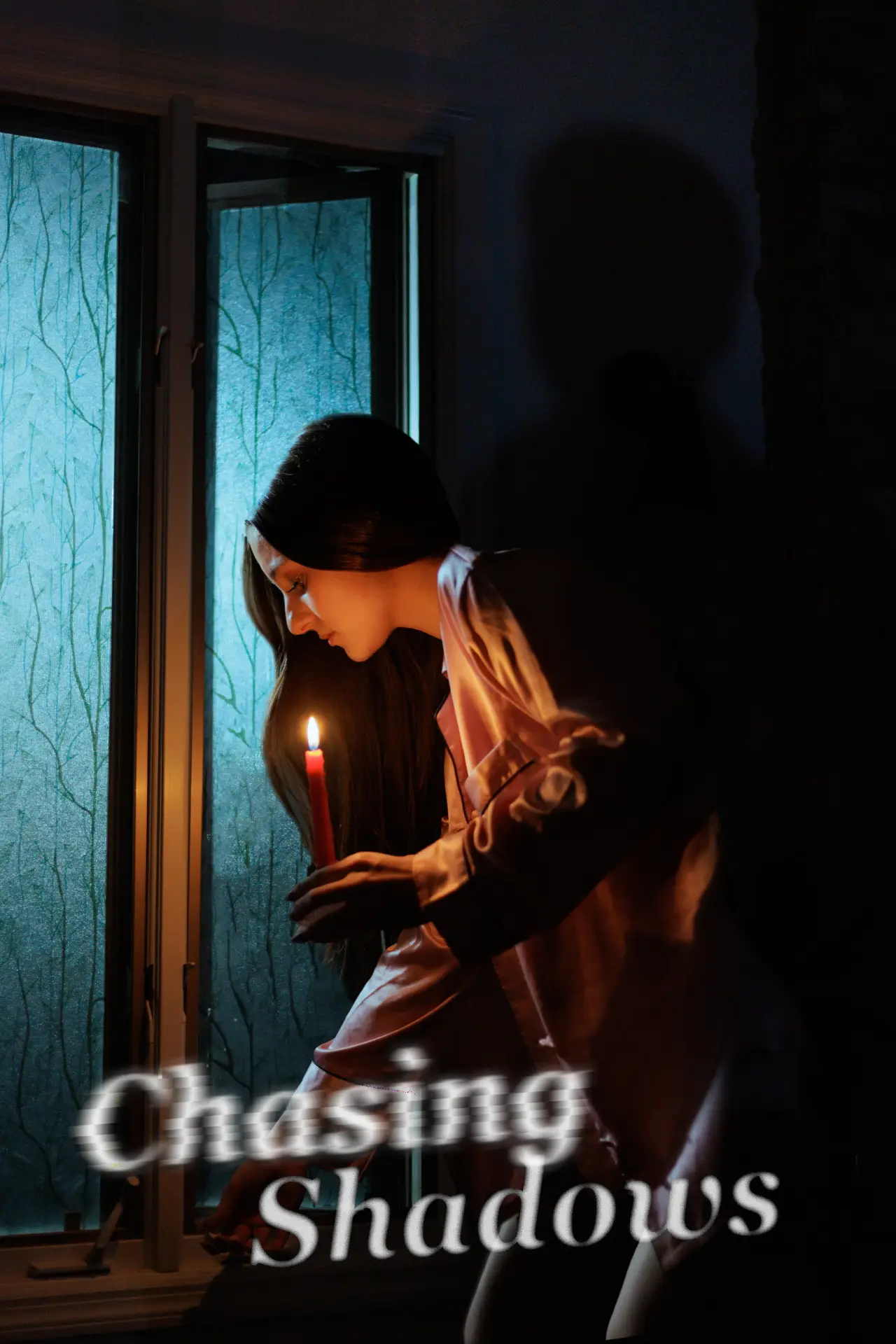 Постер к фильму "Chasing Shadows"