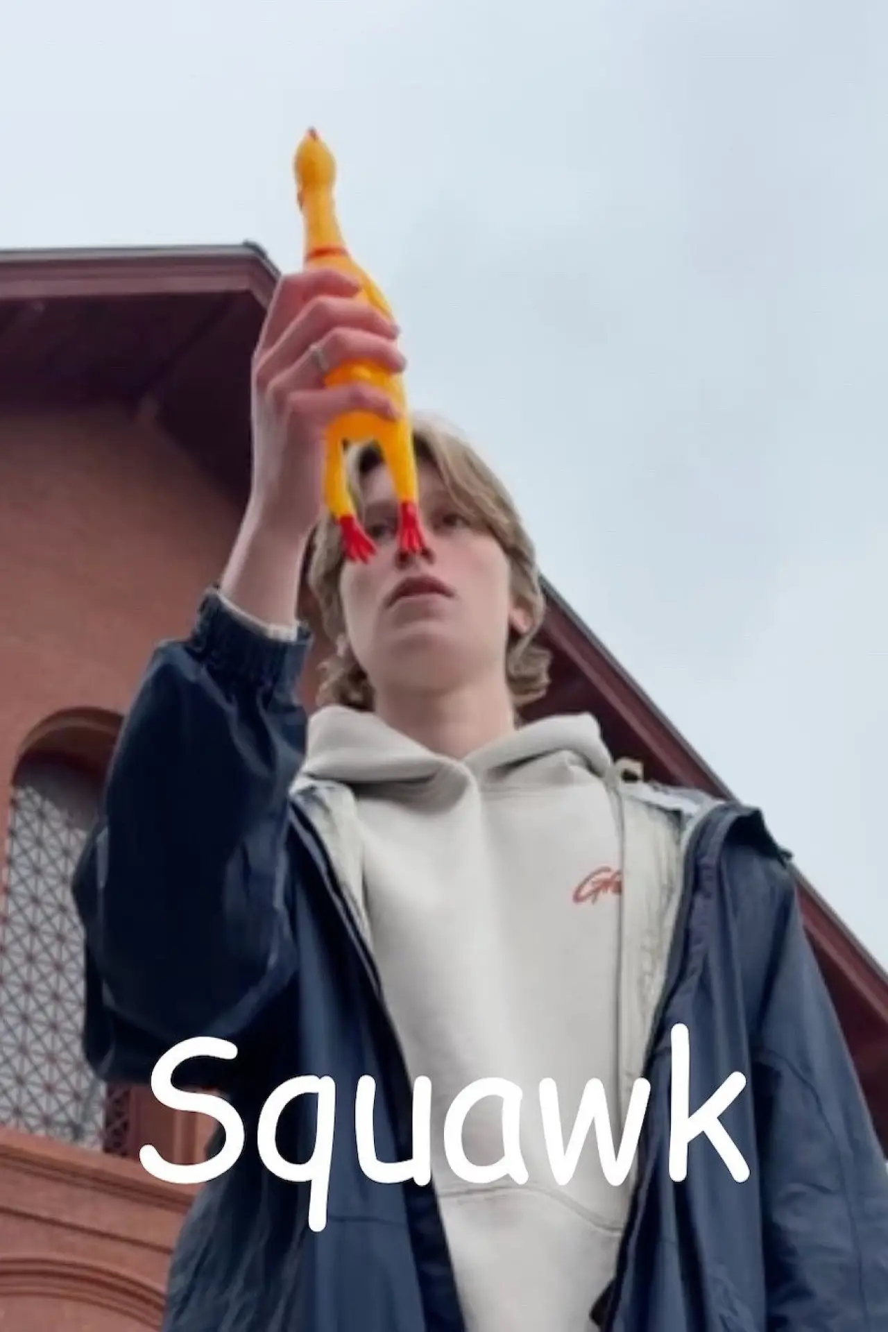 Постер к фильму "Squawk"