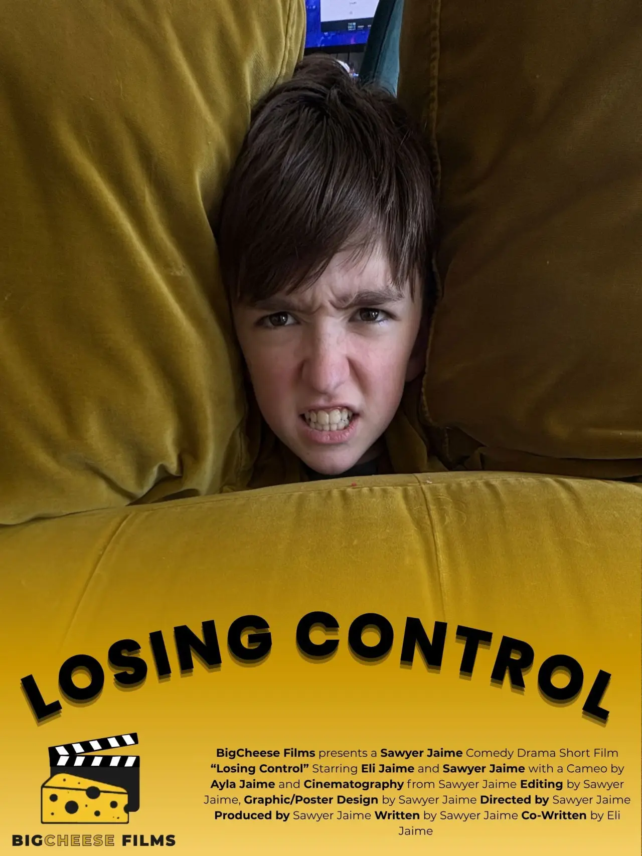 Постер к фильму "Losing Control"