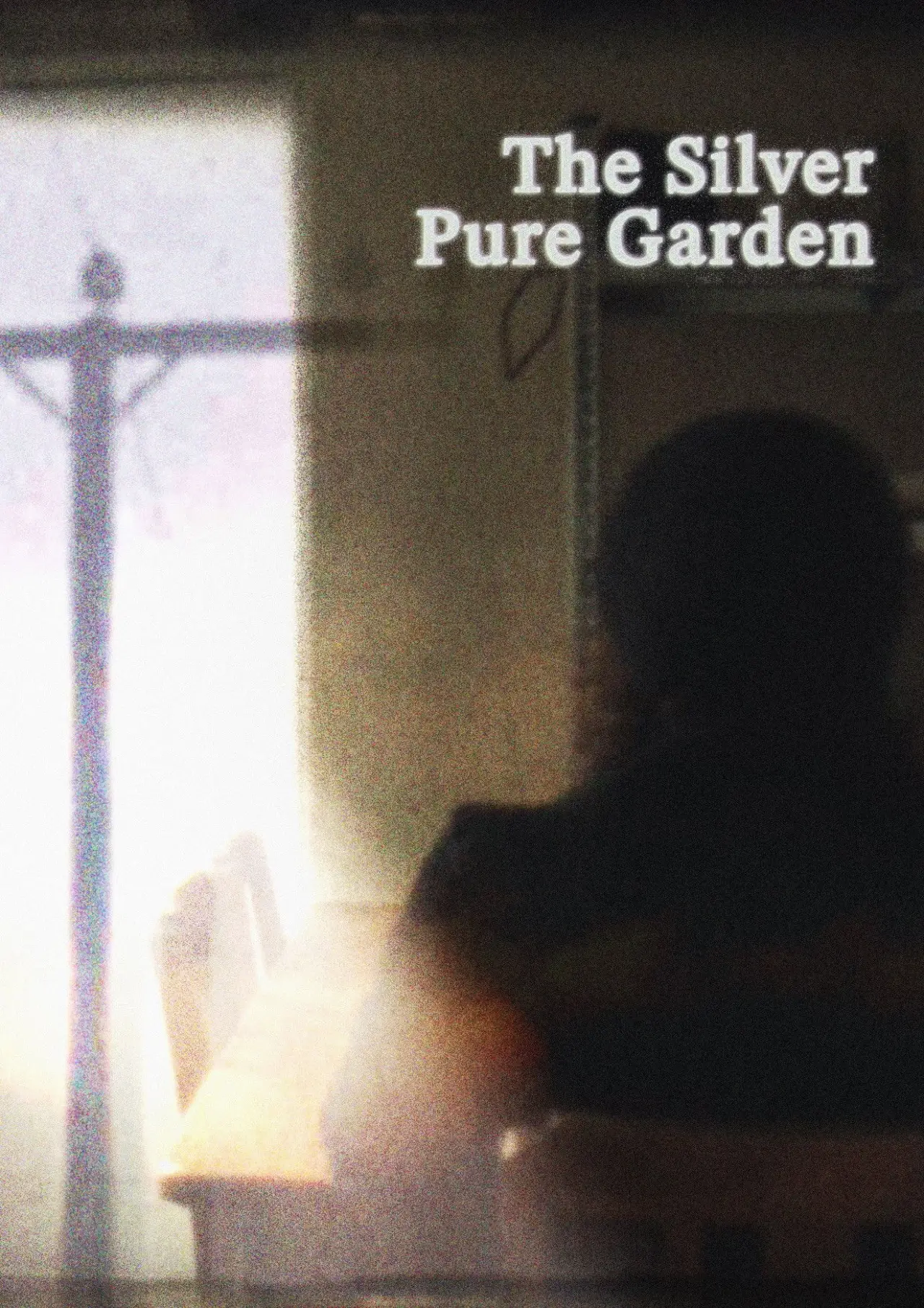 Постер к фильму "The Silver Pure Garden"