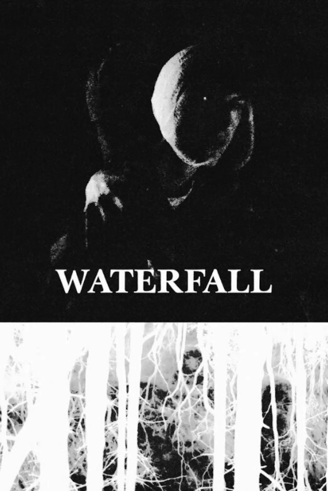 Постер к фильму "Waterfall"