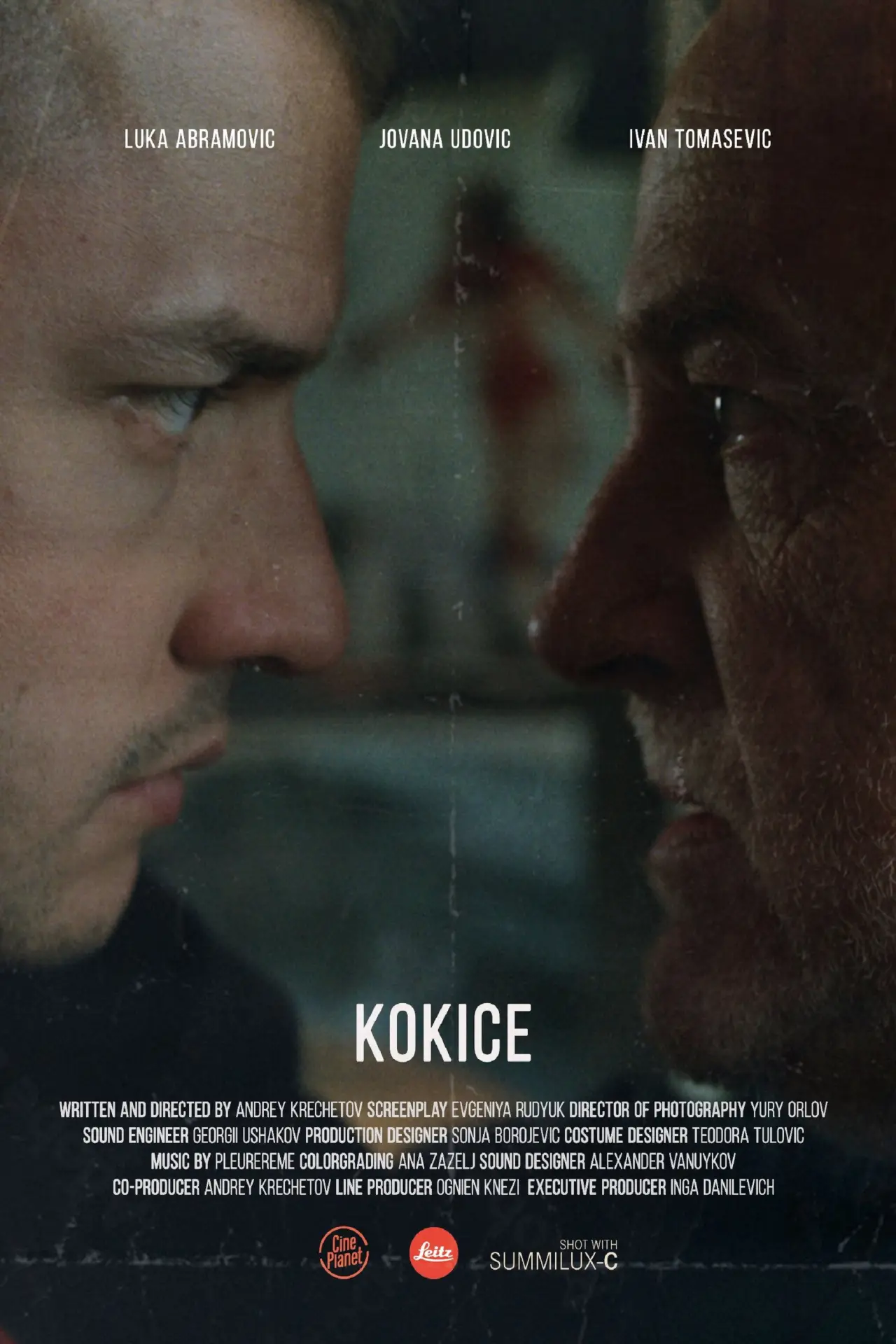 Постер к фильму "Кокице"