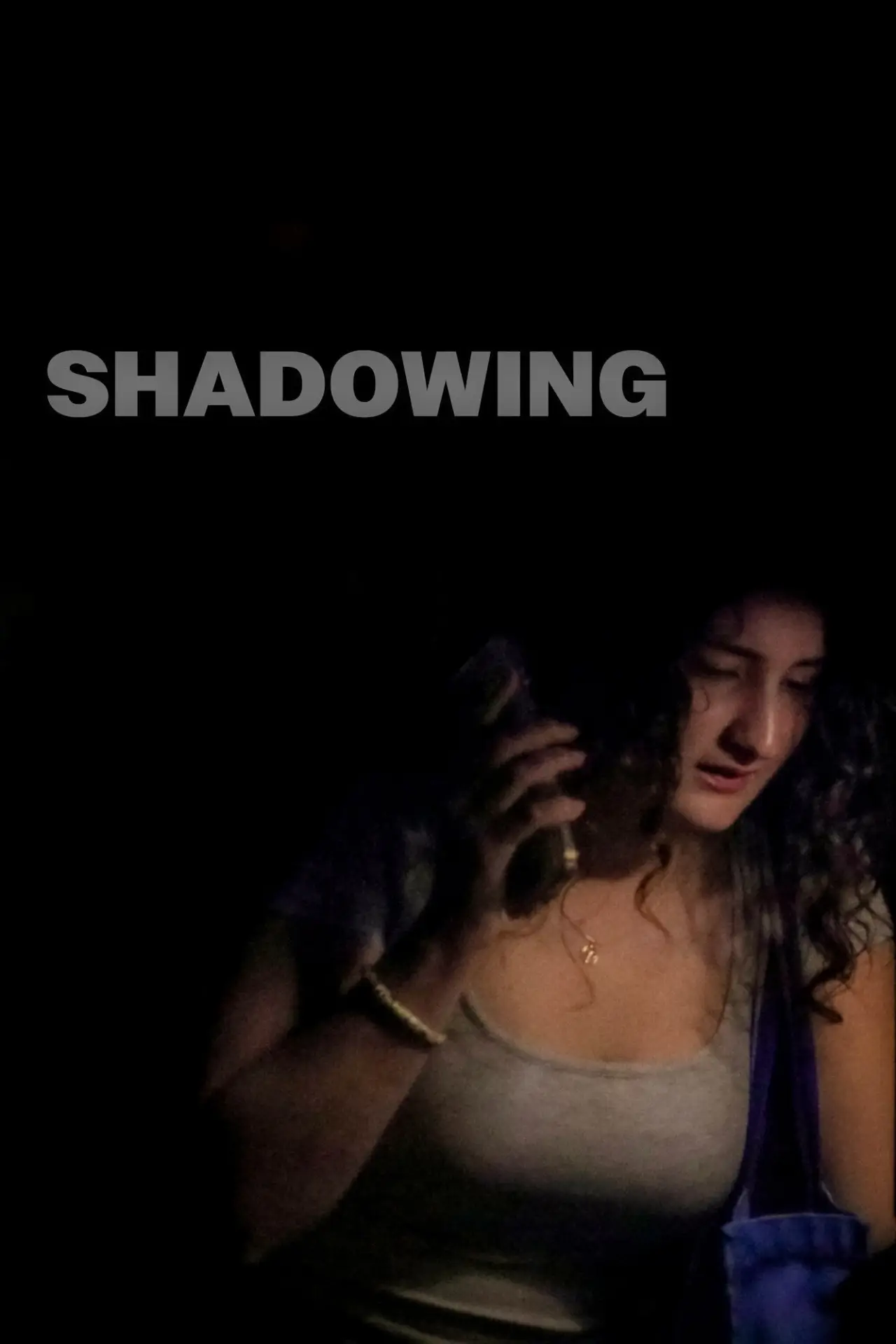 Постер к фильму "Shadowing"