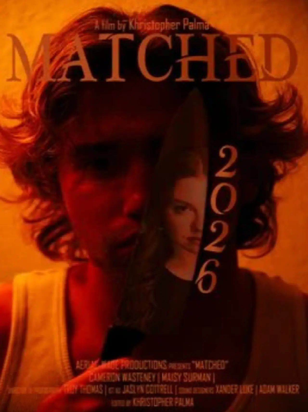 Постер к фильму "Matched"