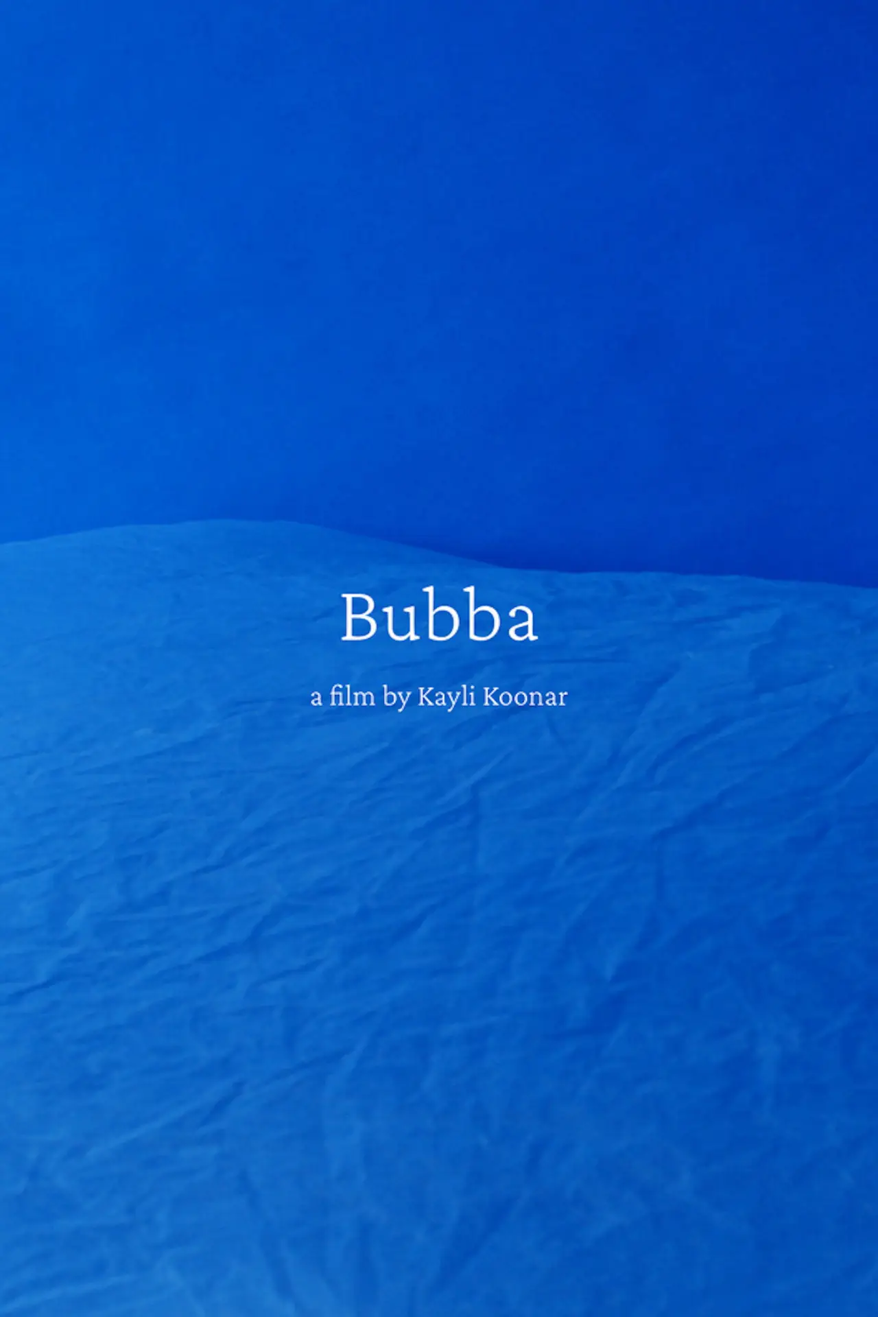 Постер к фильму "Bubba"