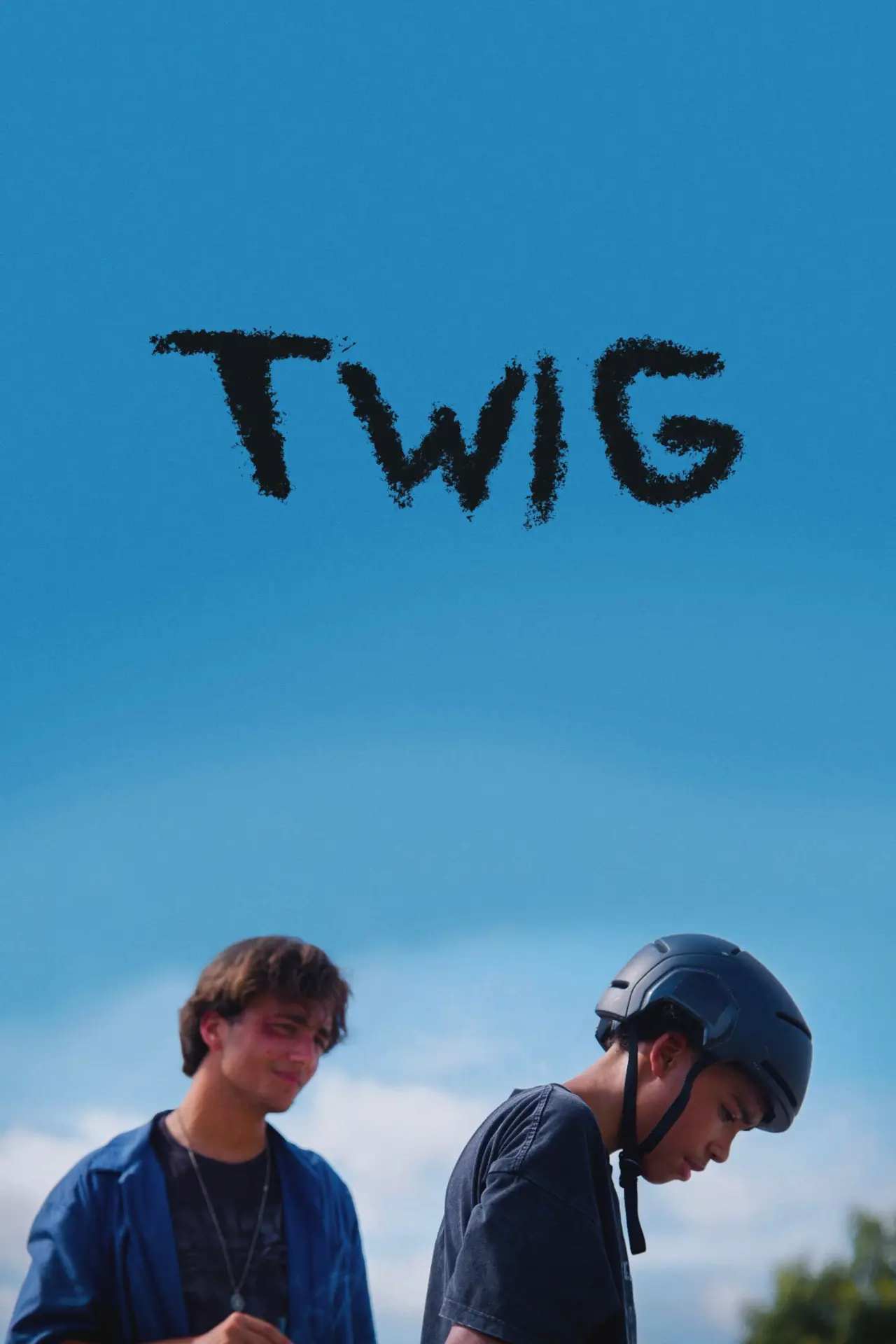 Постер к фильму "Twig"