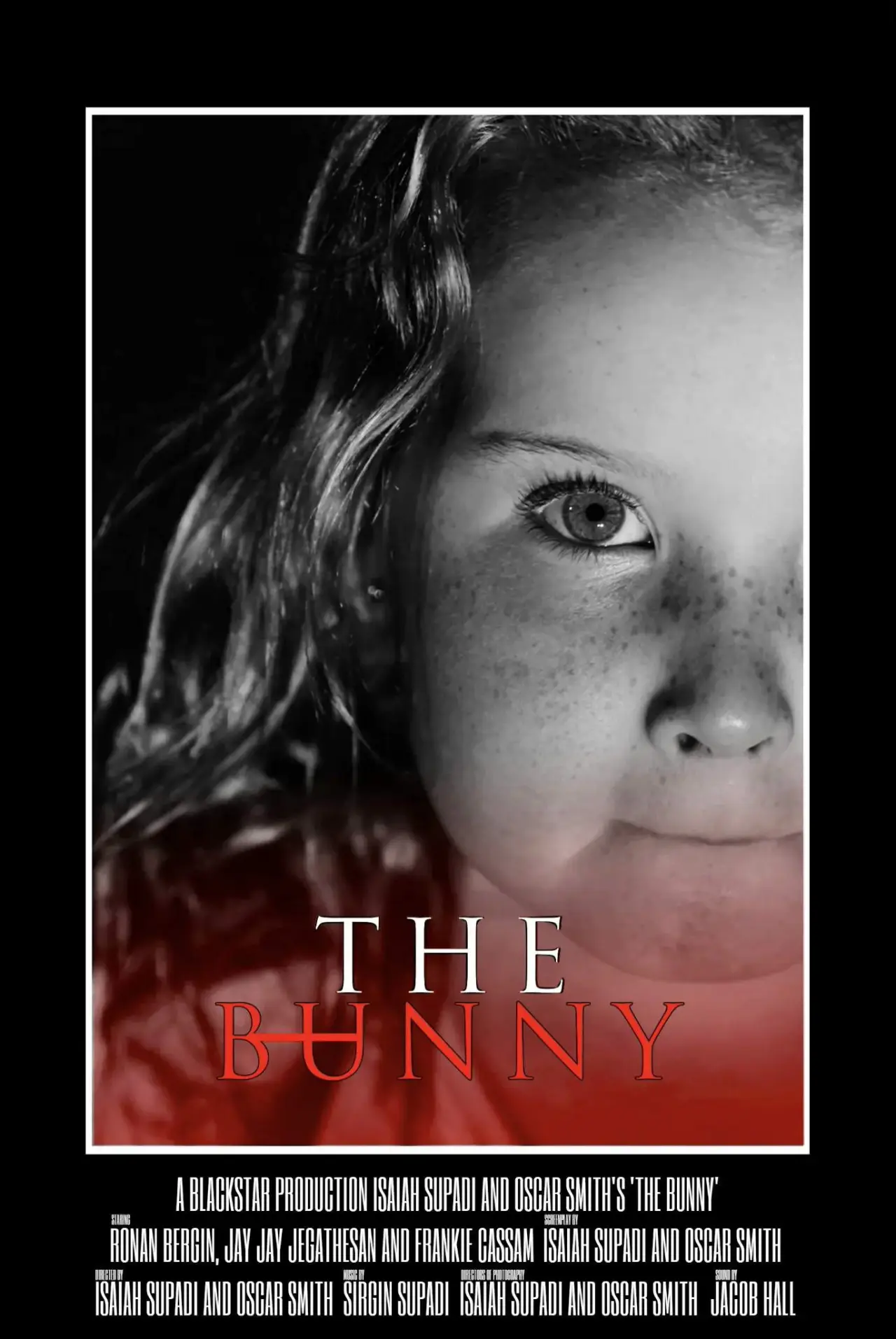 Постер к фильму "The Bunny"