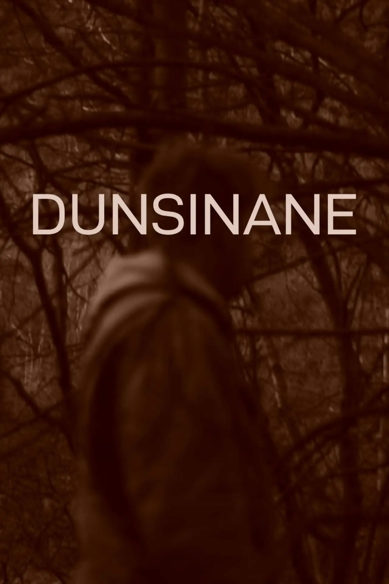 Постер к фильму "Dunsinane"