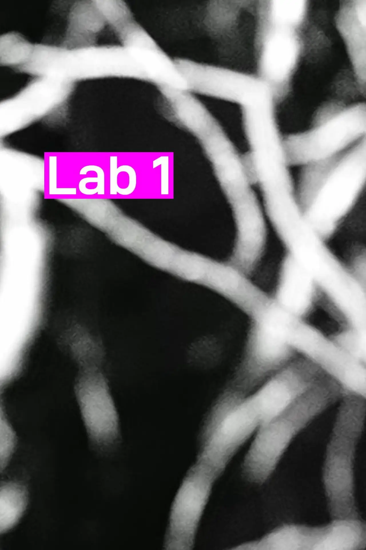 Постер к фильму "Lab 1"