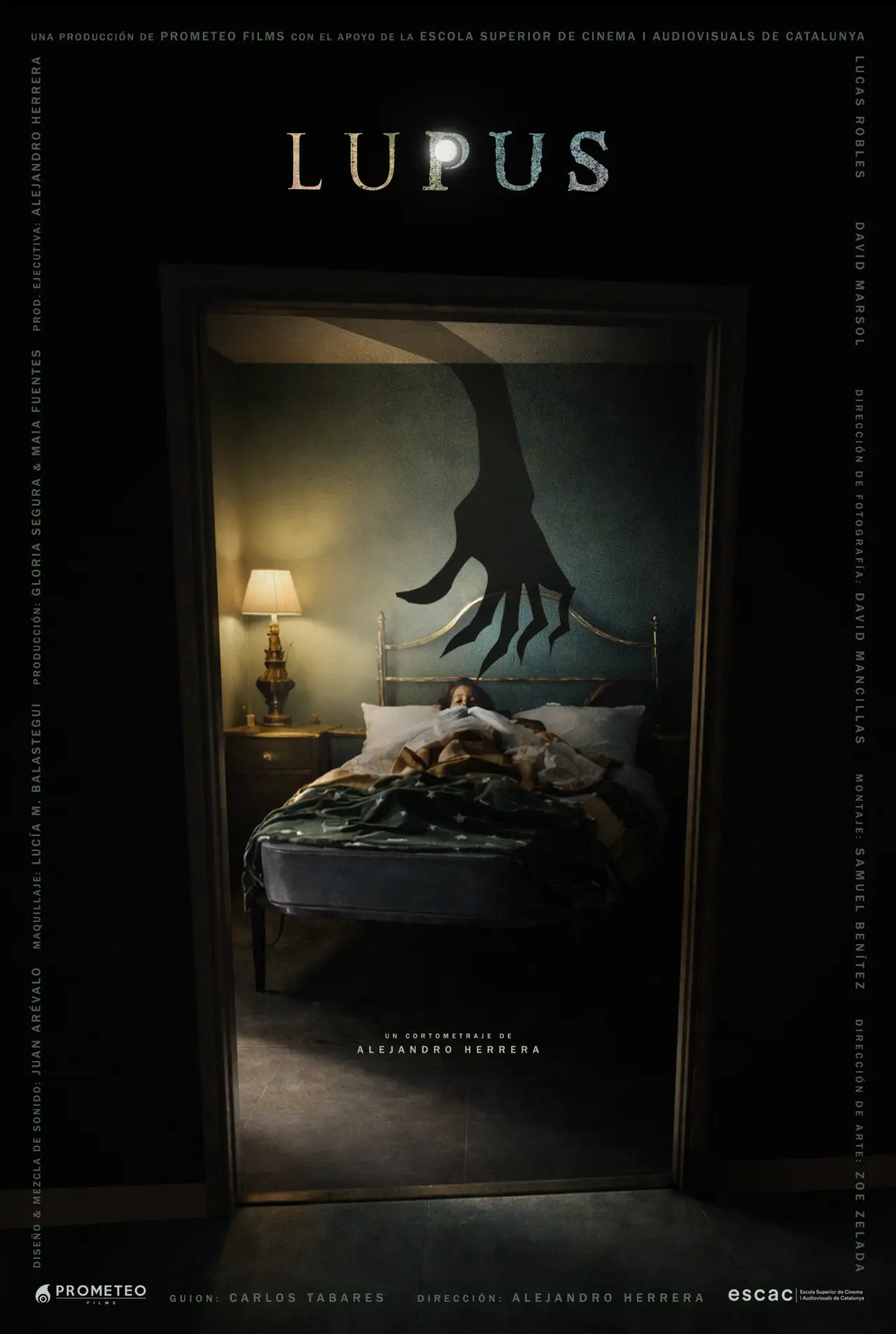 Постер к фильму "Lupus"