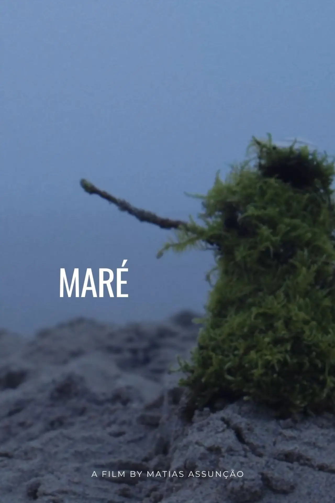 Постер к фильму "Maré"