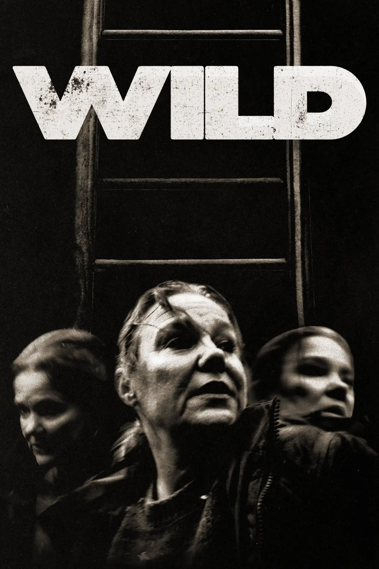 Постер к фильму "Wild"
