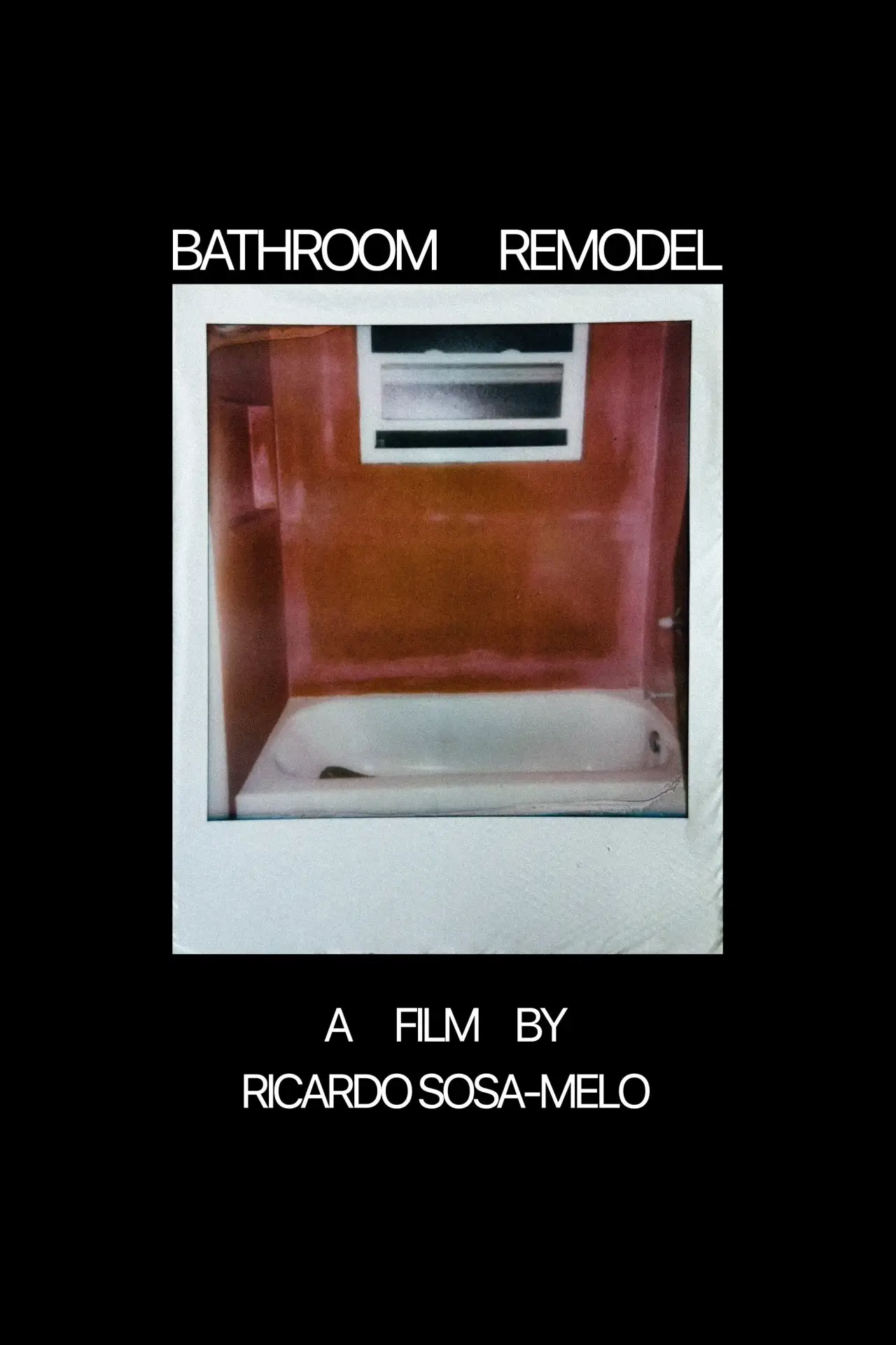 Постер к фильму "Bathroom Remodel"