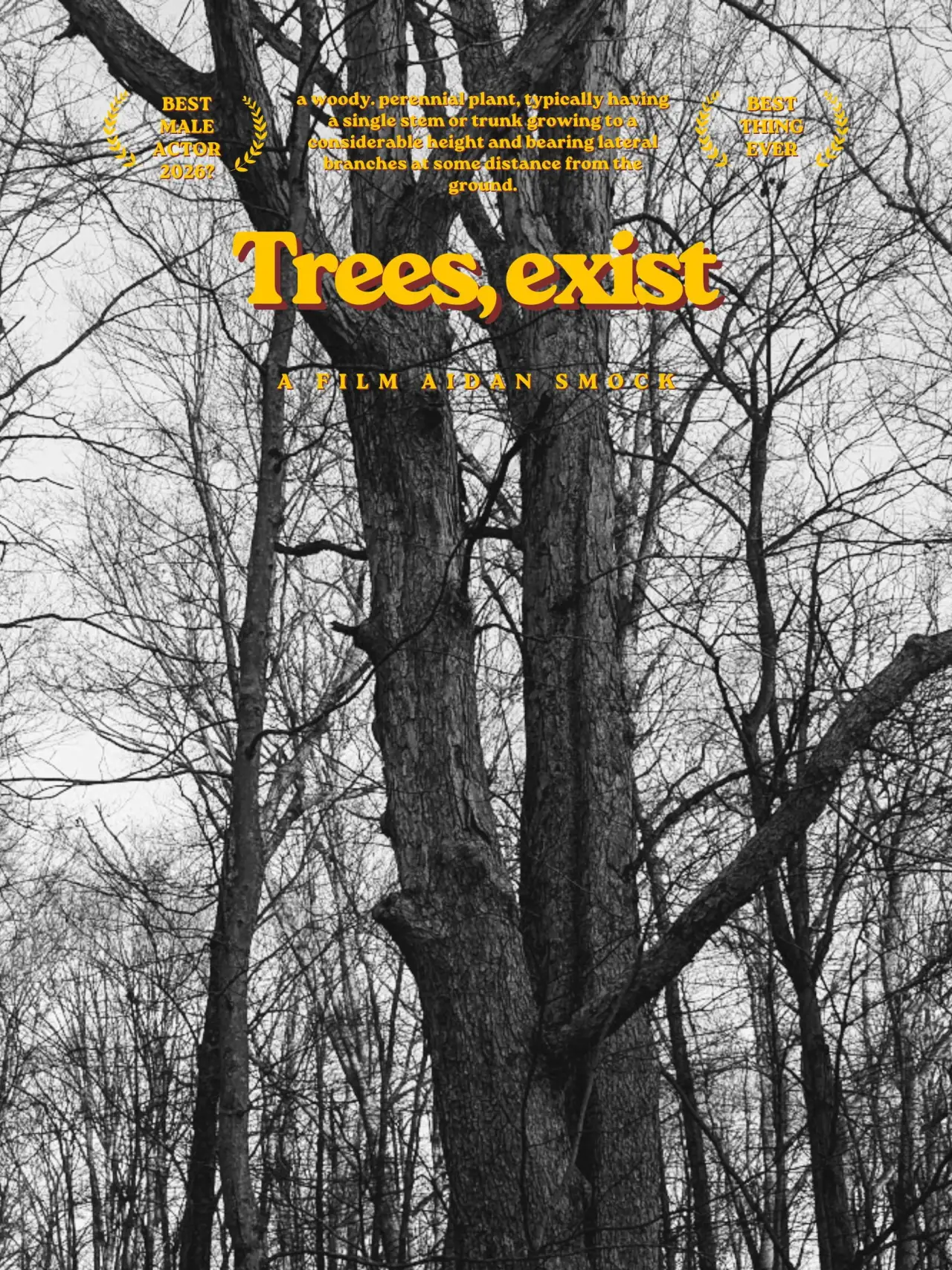 Постер к фильму "Trees, exist"