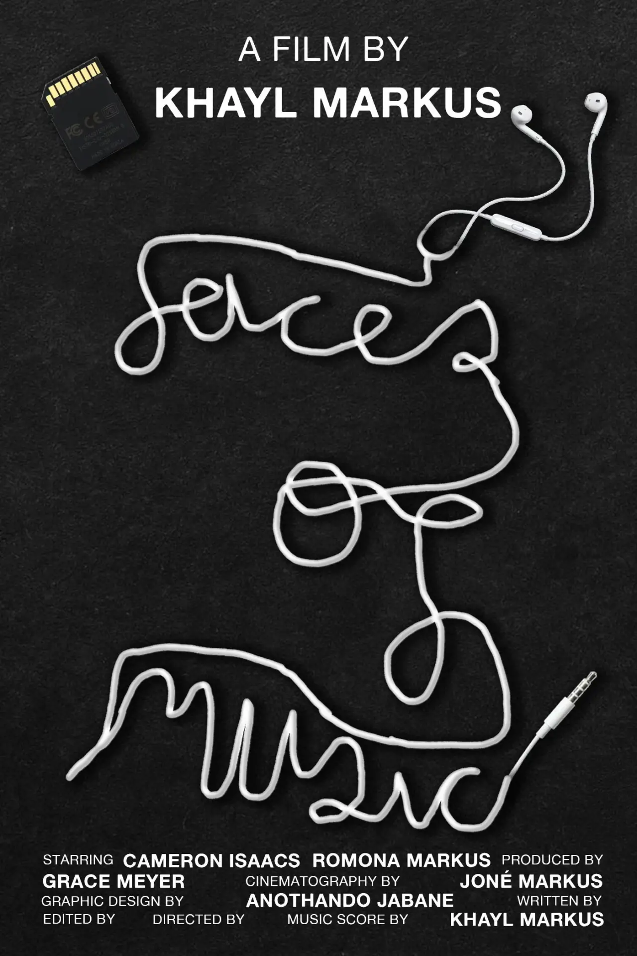 Постер к фильму "Faces of Music"