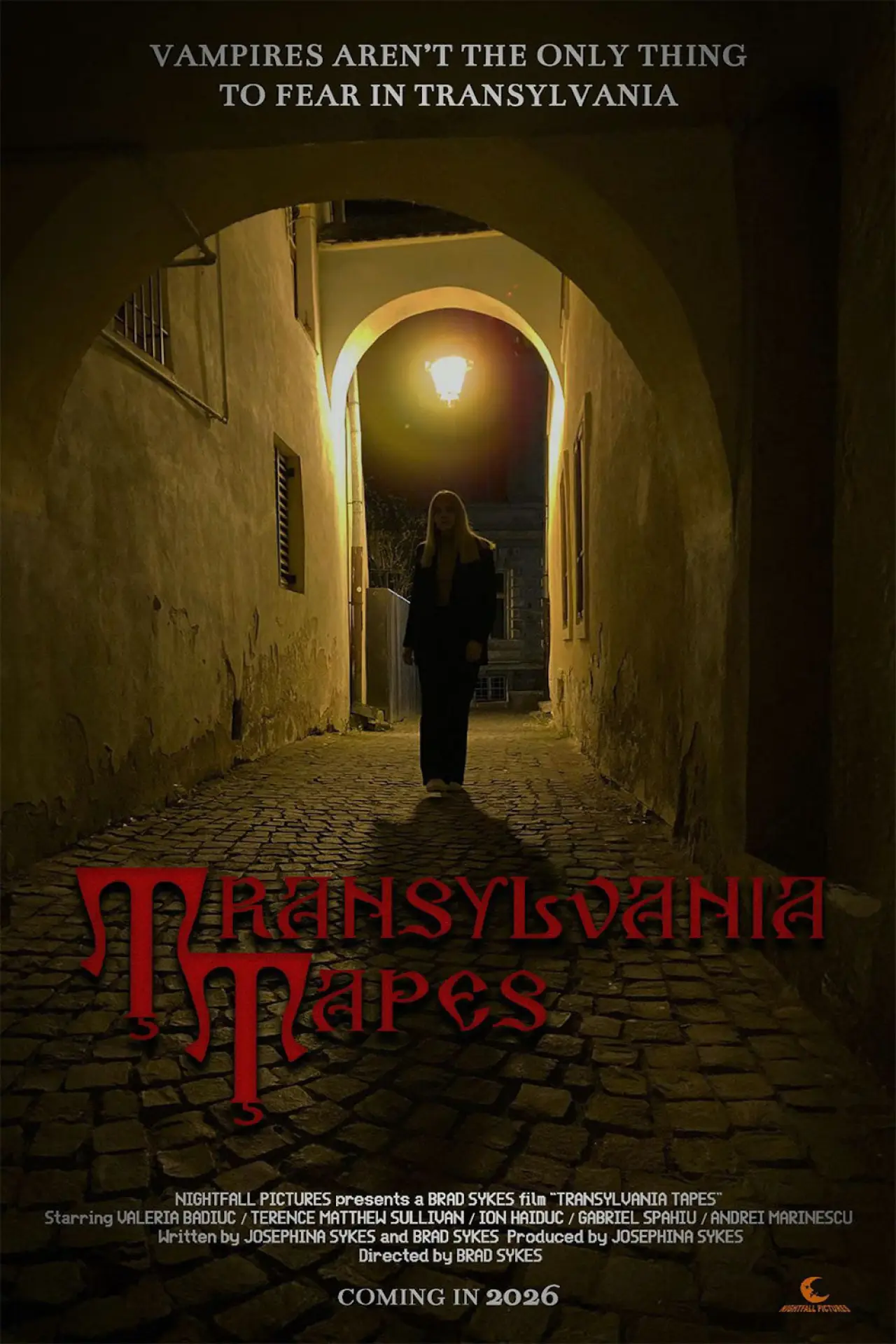 Постер к фильму "Transylvania Tapes"