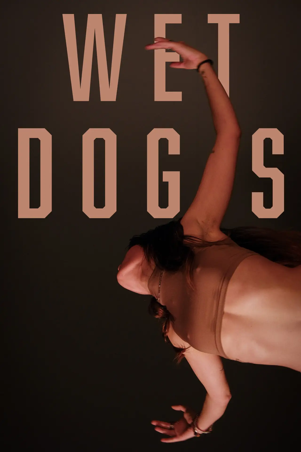 Постер к фильму "Wet Dogs"