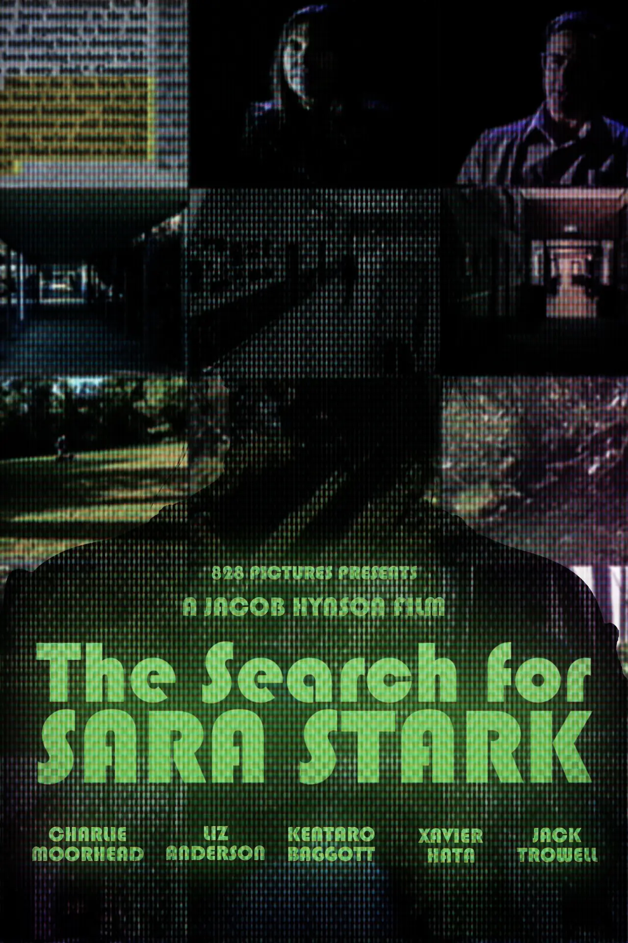 Постер к фильму "The Search for Sara Stark"