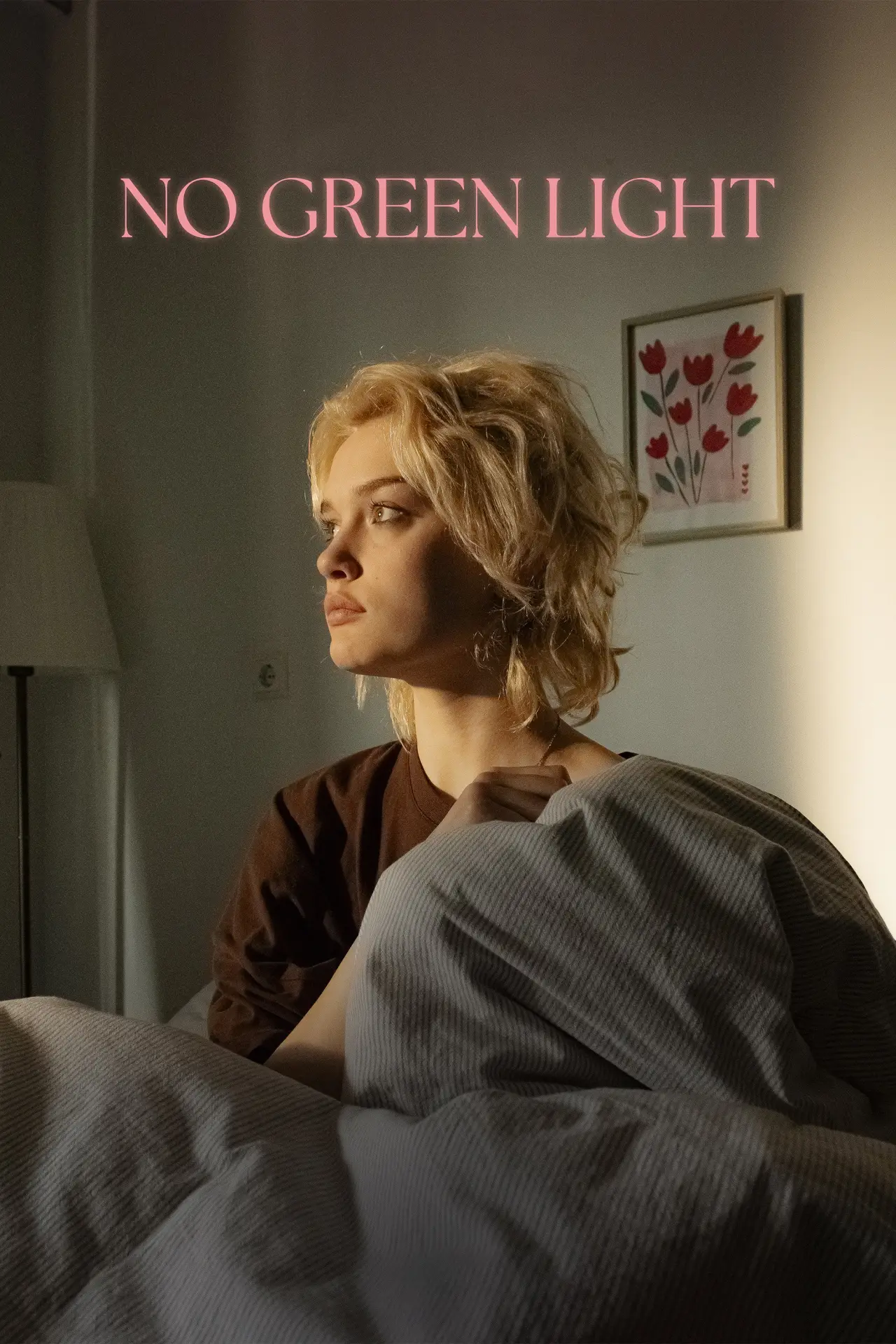 Постер к фильму "Geen groen licht"