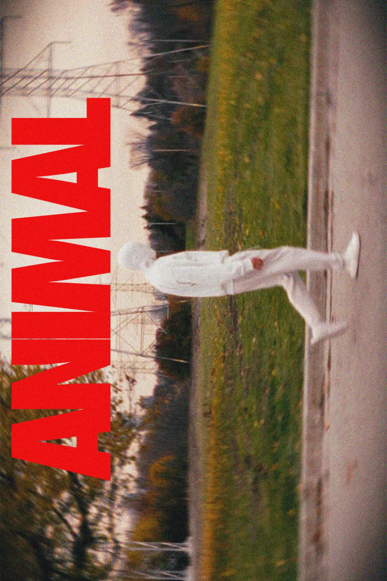Постер к фильму "ANIMAL"
