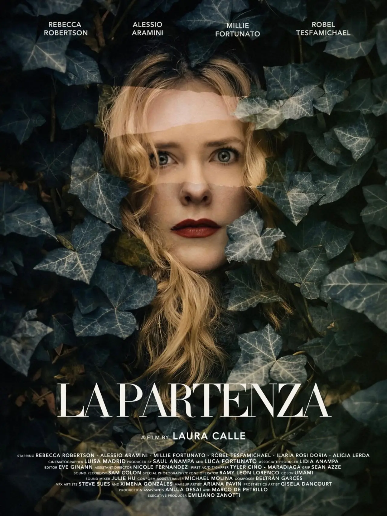 Постер к фильму "La Partenza"