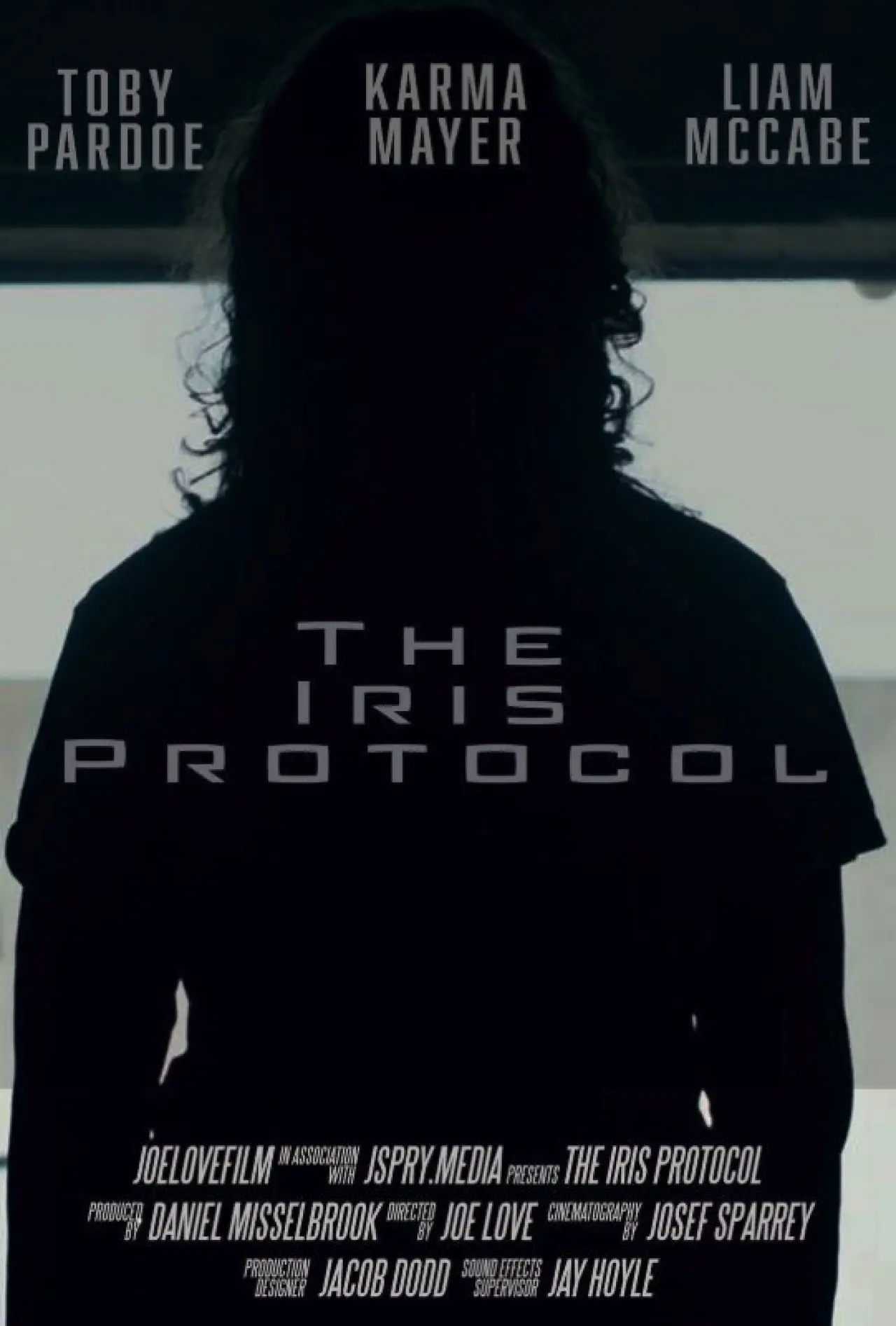 Постер к фильму "The Iris Protocol"