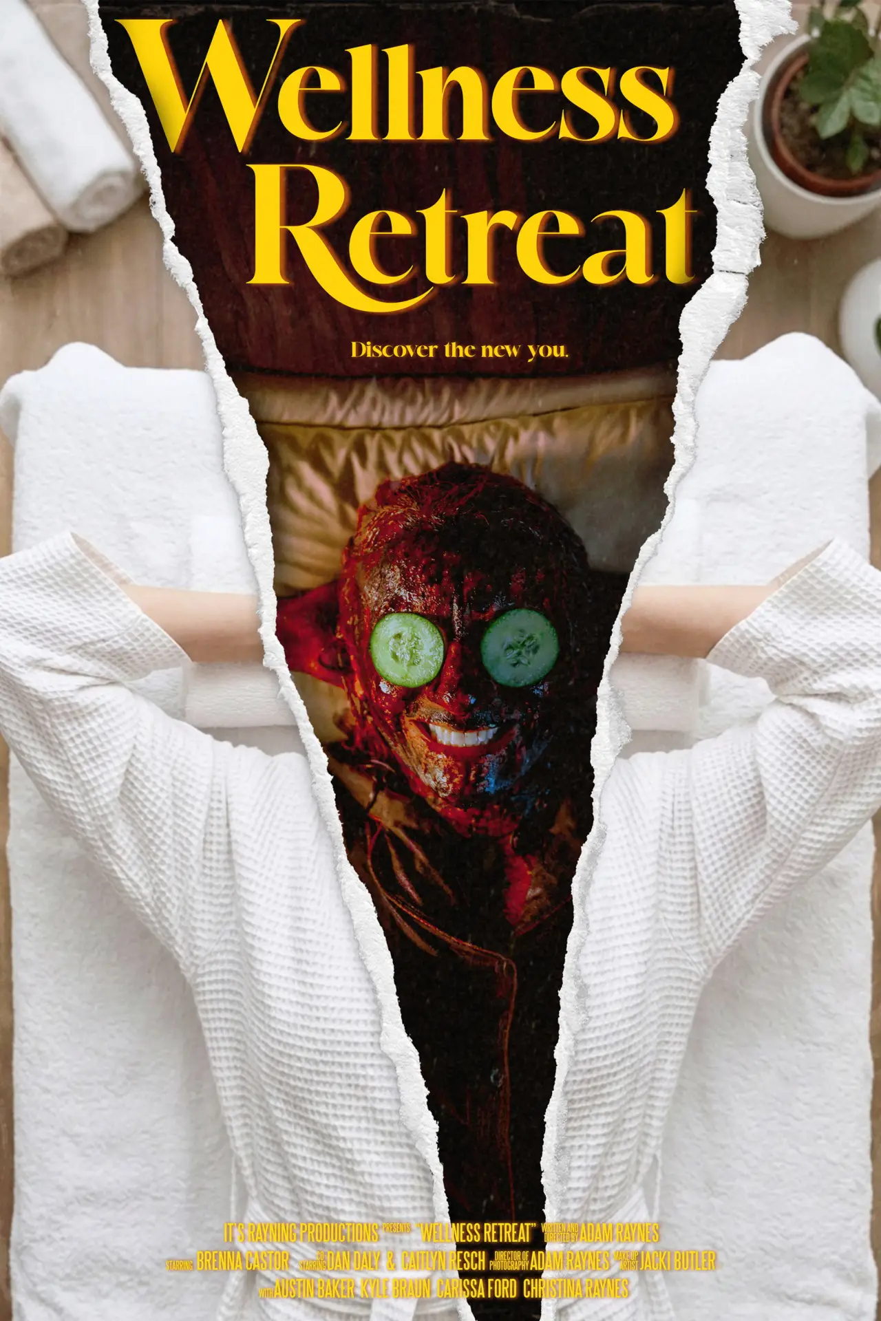 Постер к фильму "Wellness Retreat"