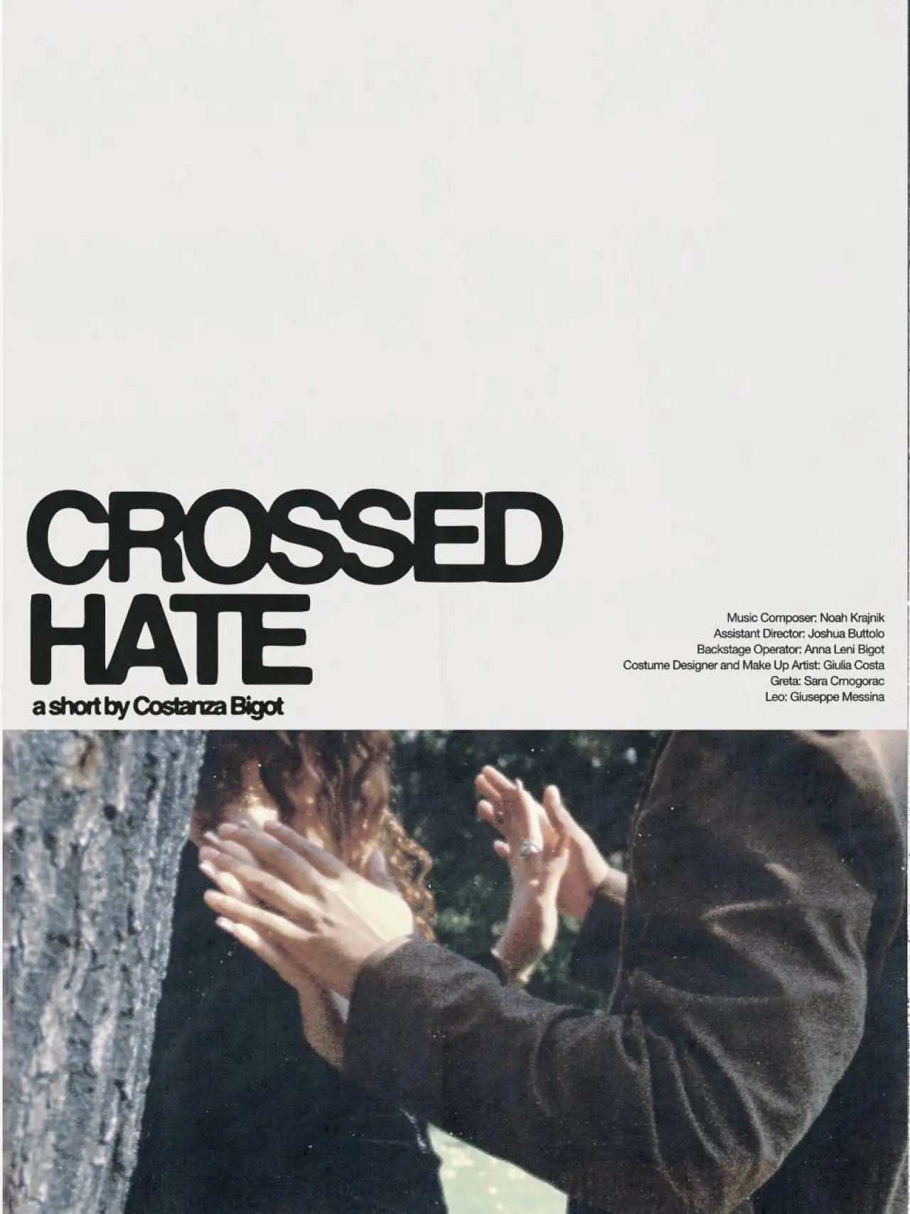 Постер к фильму "Crossed Hate"